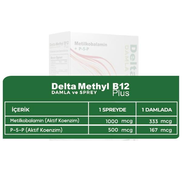 Delta Methyl B12 Plus Sprey 20 ml-Delta Naturel