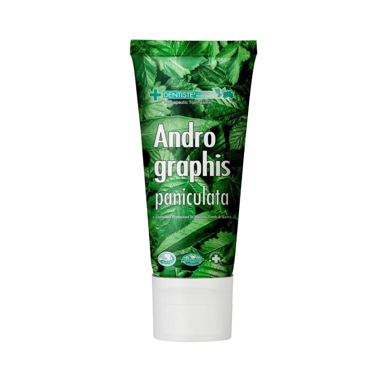 Dentiste Diş Macunu Andrographis Paniculata 40 gr-Dentiste