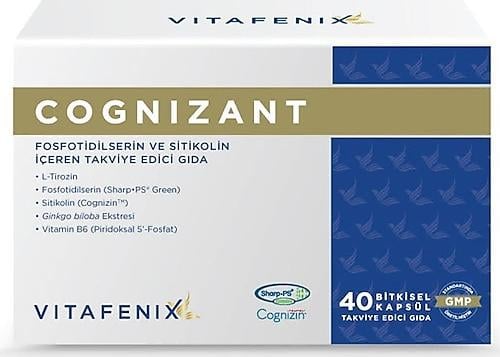 Vitafenix Cognizant 40 Kapsül-Vitafenix