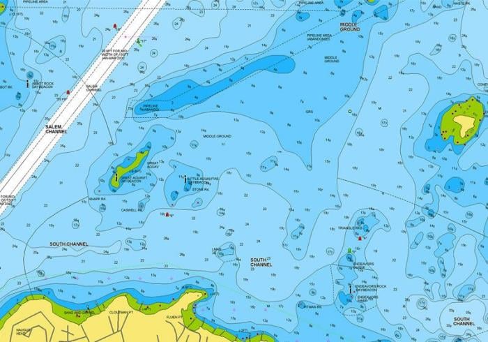 Navionics+ Tüm Türkiye Harita Kartı