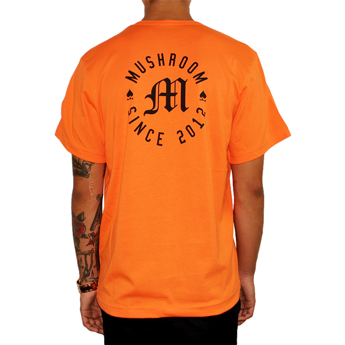 MUSHROOM Olde Orange