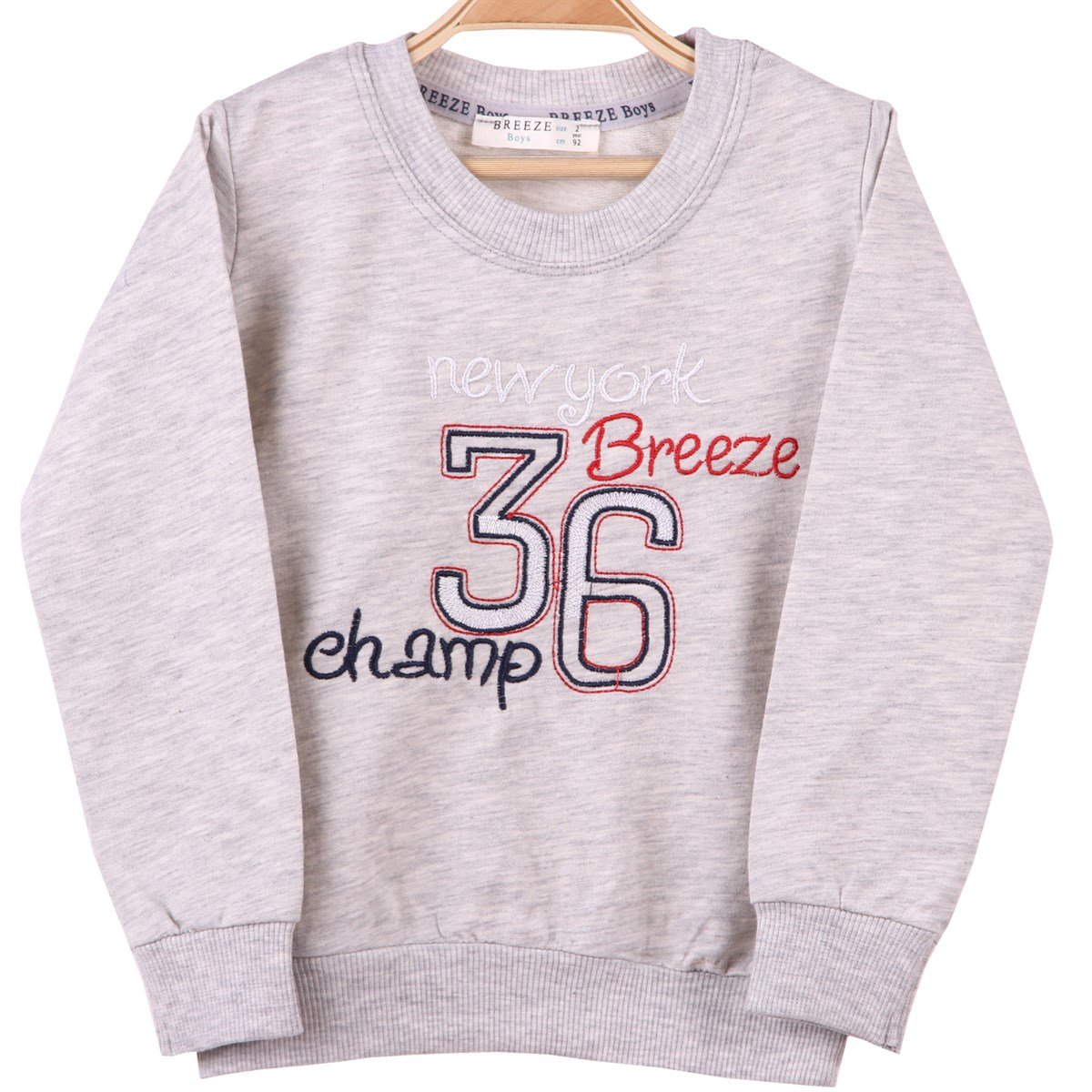 Erkek Çocuk Baskılı Sweat  Breeze Gri-Kırmızı