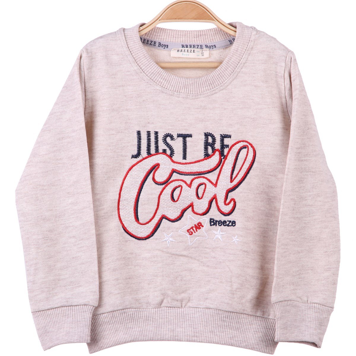 Sweatshirt & KazakBREEZE12262-023Baskılı Sweat