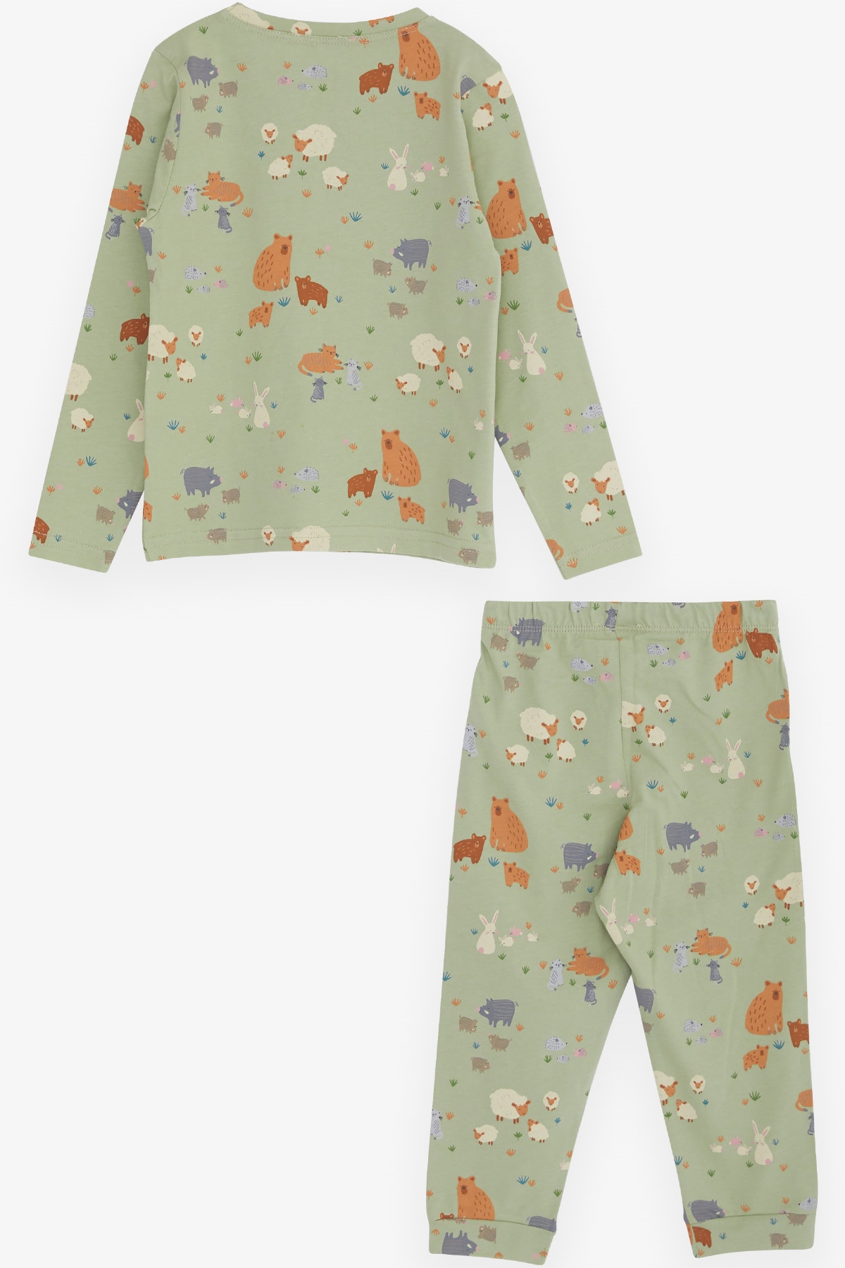 Breeze Çocuk Pijama Takımı Hayvanlar Alemi Desenli Mint Yeşili (3-7 Yaş)