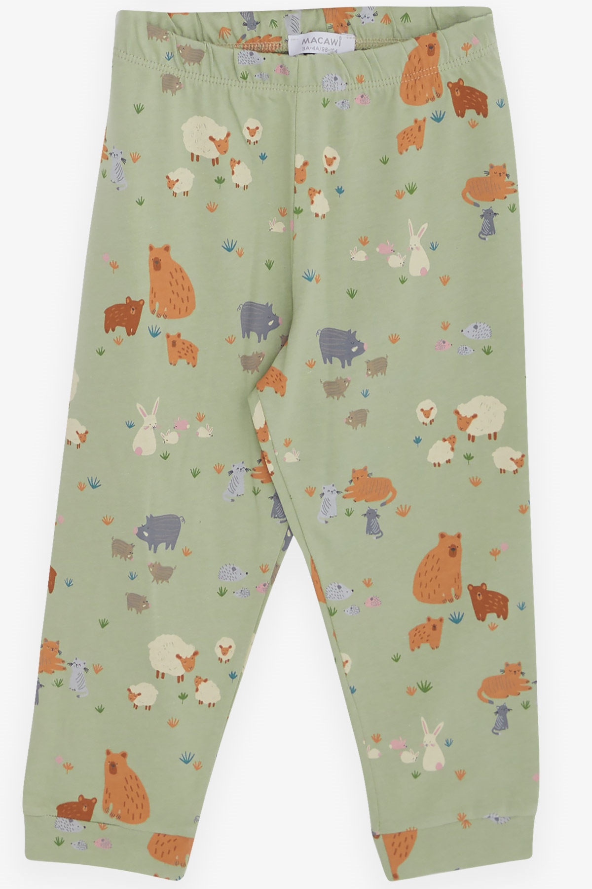 Breeze Çocuk Pijama Takımı Hayvanlar Alemi Desenli Mint Yeşili (3-7 Yaş)