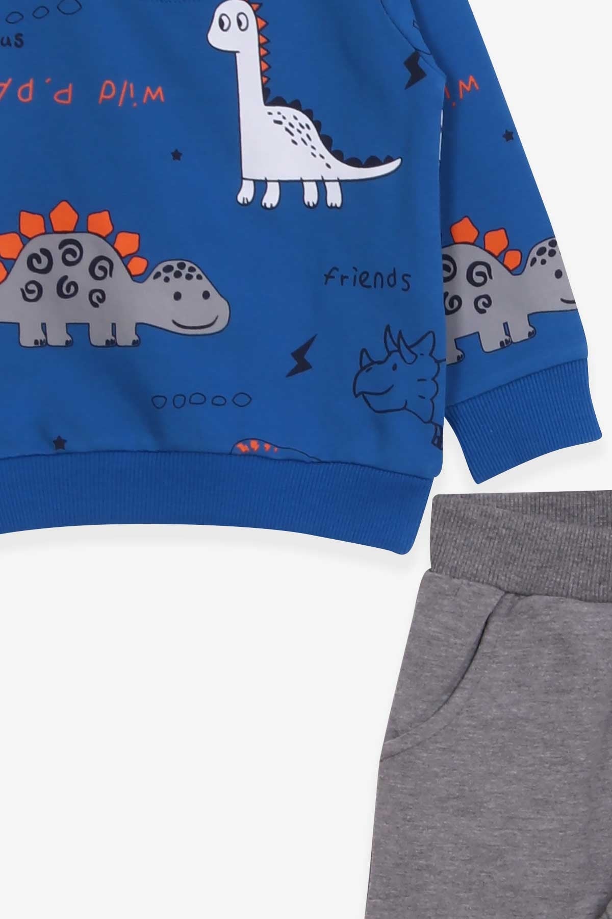 Breeze Erkek Bebek Eşofman Takımı Dinozor Baskılı Saks Mavisi (9 Ay-3 Yaş)