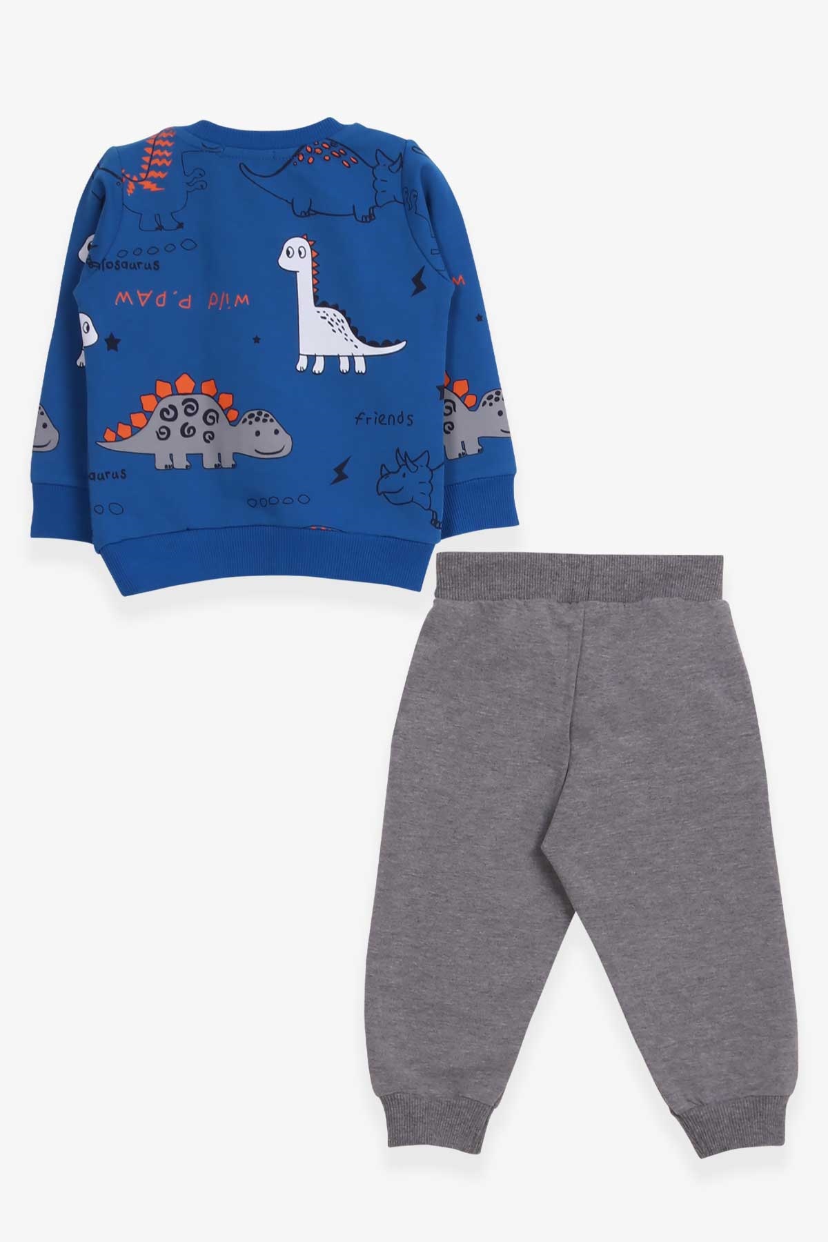 Breeze Erkek Bebek Eşofman Takımı Dinozor Baskılı Saks Mavisi (9 Ay-3 Yaş)