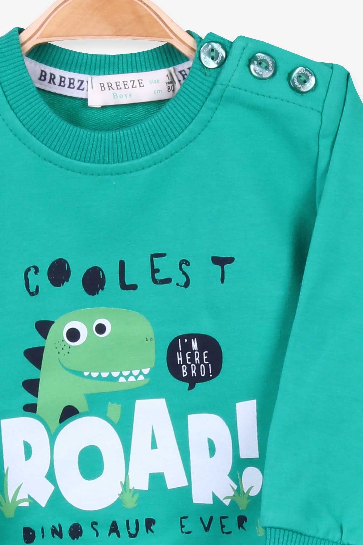 Breeze Erkek Bebek Eşofman Takımı Dinozor Baskılı Yeşil (9 Ay-3 Yaş)