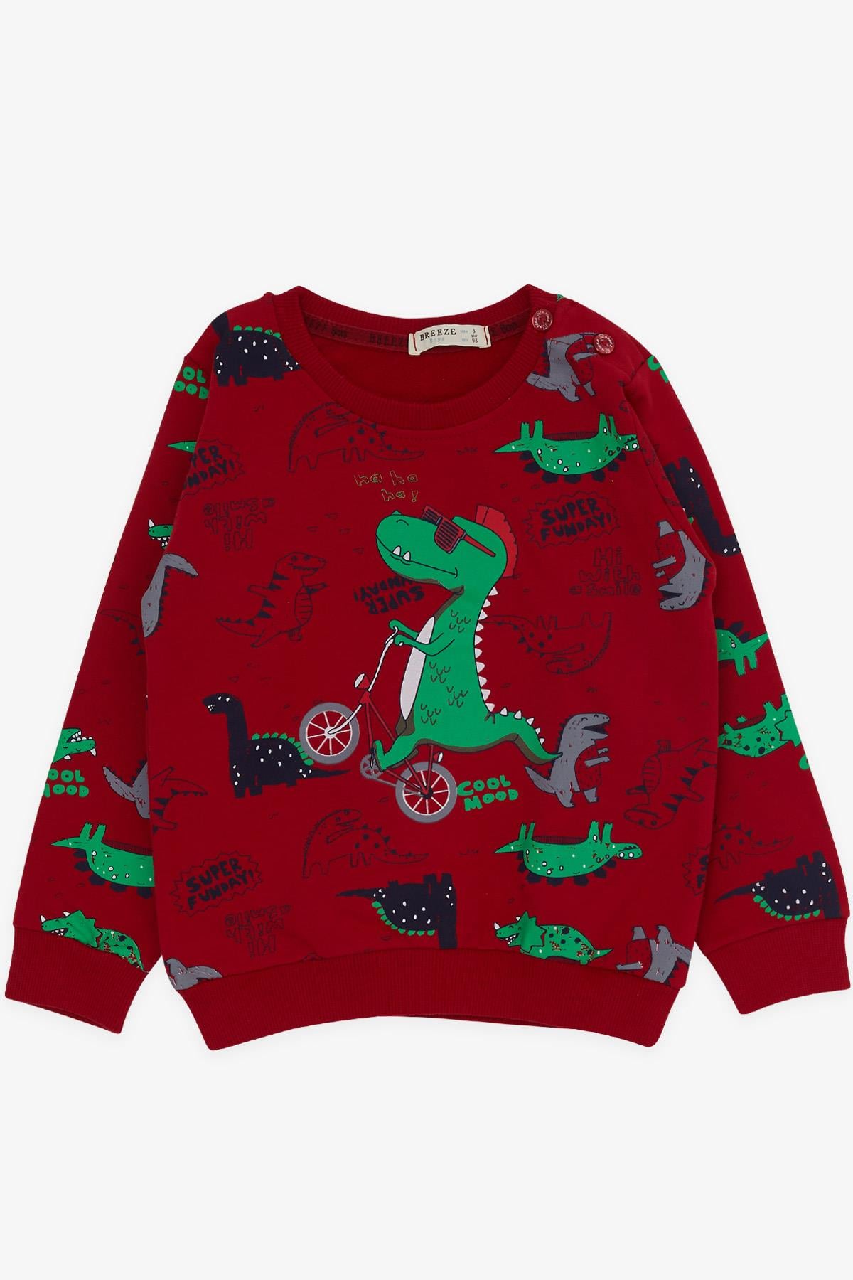 Breeze Erkek Bebek Eşofman Takımı Dinozor Baskılı Kırmızı (9 Ay-3 Yaş)