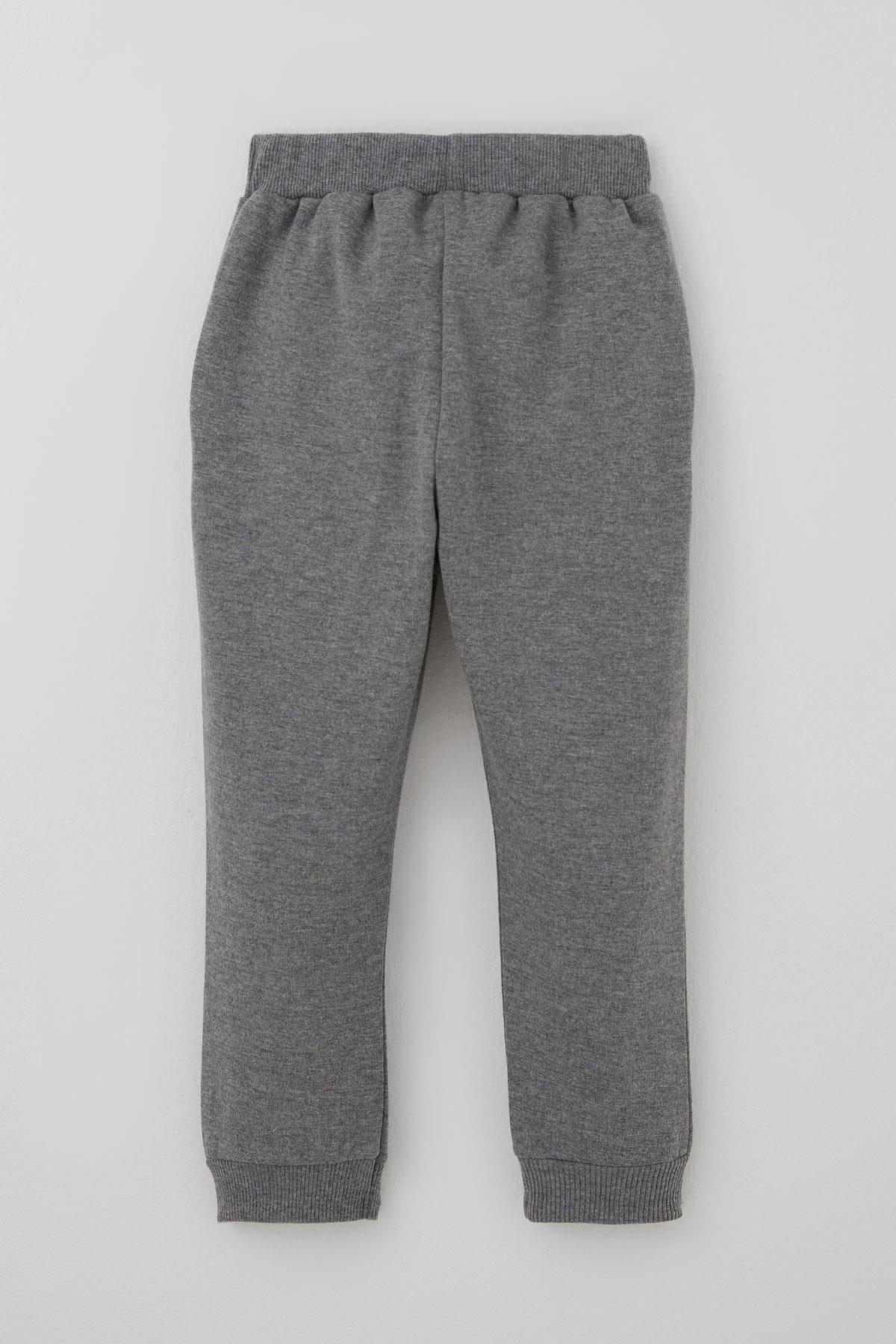 Breeze Erkek Bebek Eşofman Takımı Kulaklıklı Köpekçik Nakışlı Su Yeşili (9 Ay-3 Yaş)