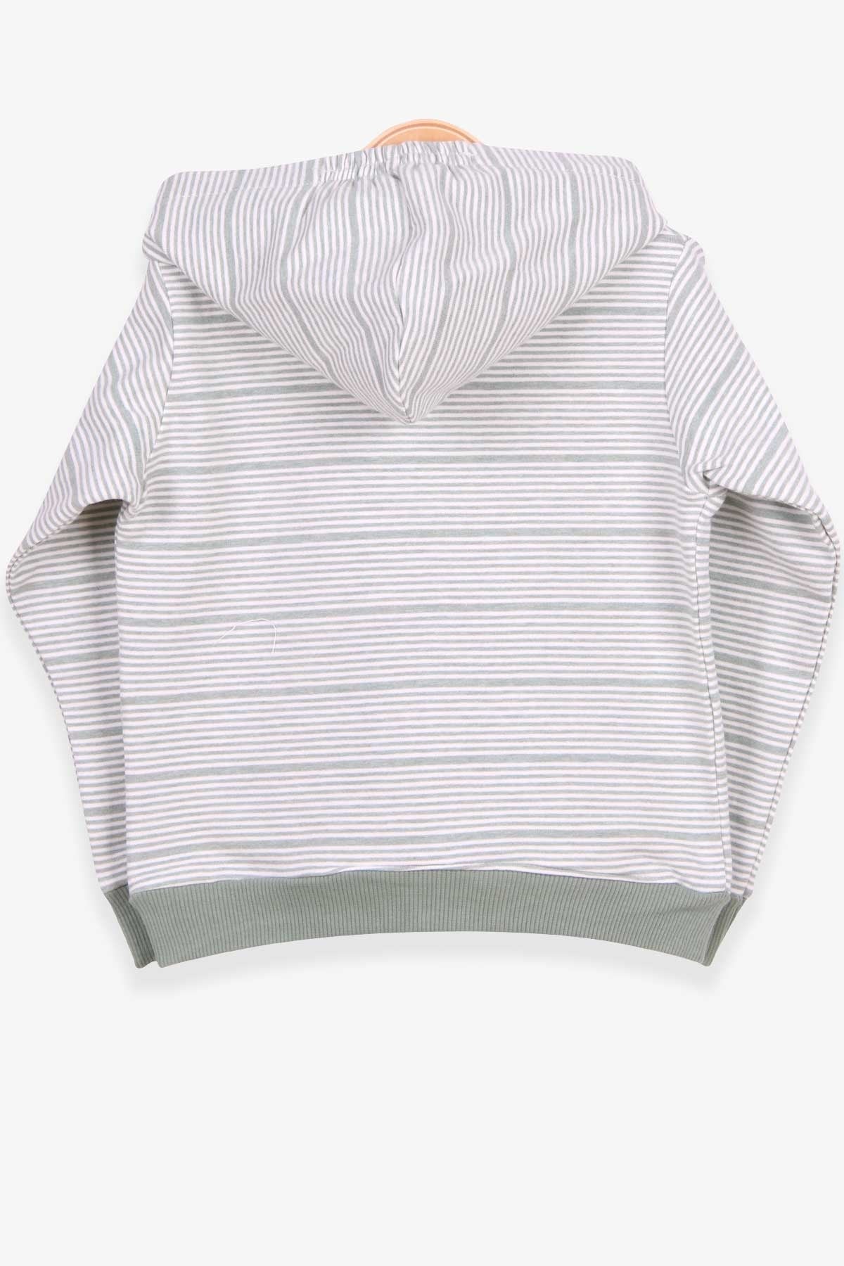 Breeze Erkek Bebek Hırka Çizgili Aslan Nakışlı Mint Yeşili (9 Ay-3 Yaş)