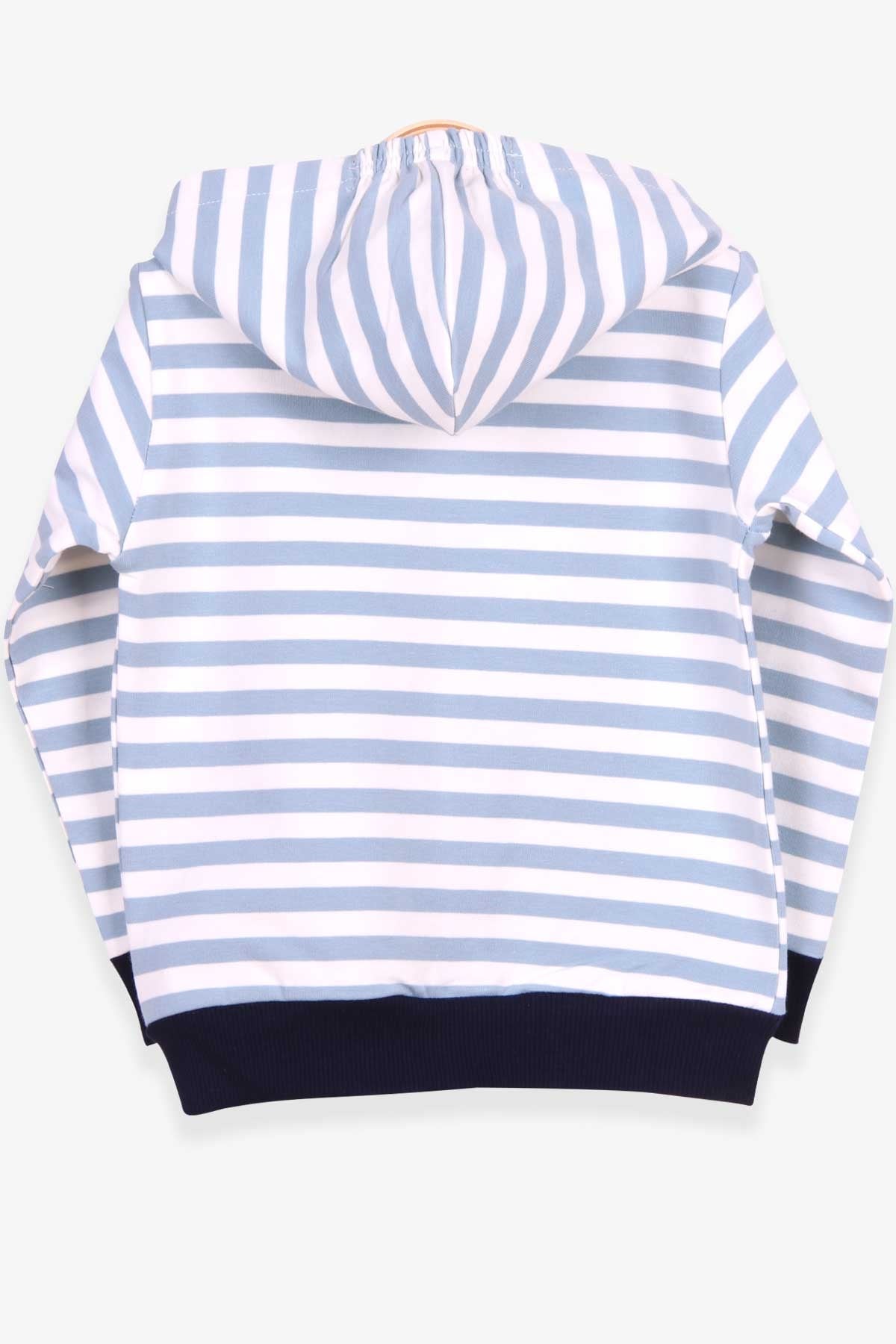 Breeze Erkek Bebek Hırka Çizgili Aslan Nakışlı Açık Mavi (9 Ay-3 Yaş)