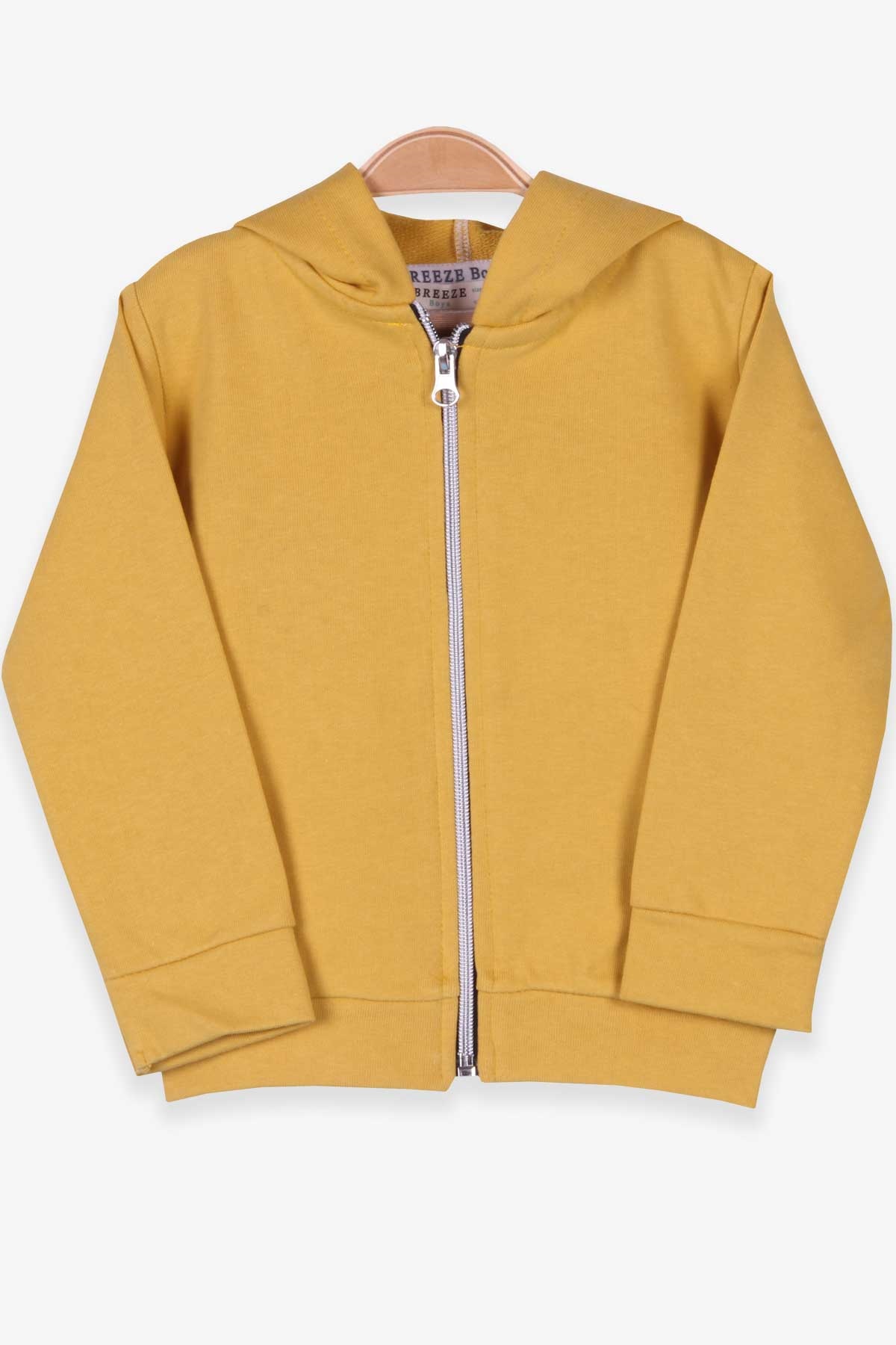 Breeze Erkek Bebek Hırka Dinozorlu Hardal Sarı (9 Ay-3 Yaş)