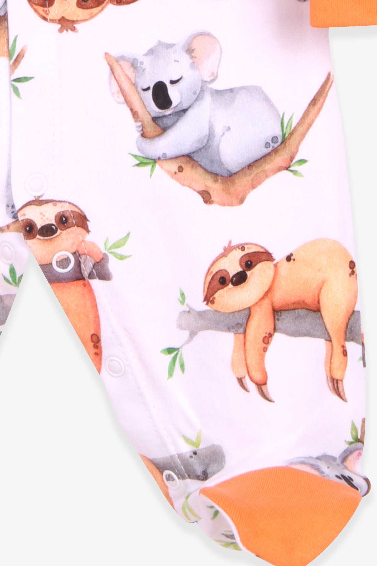 Breeze Erkek Bebek Koala Desenli Şapkalı Set Beyaz (0-3 Ay-6 Ay)