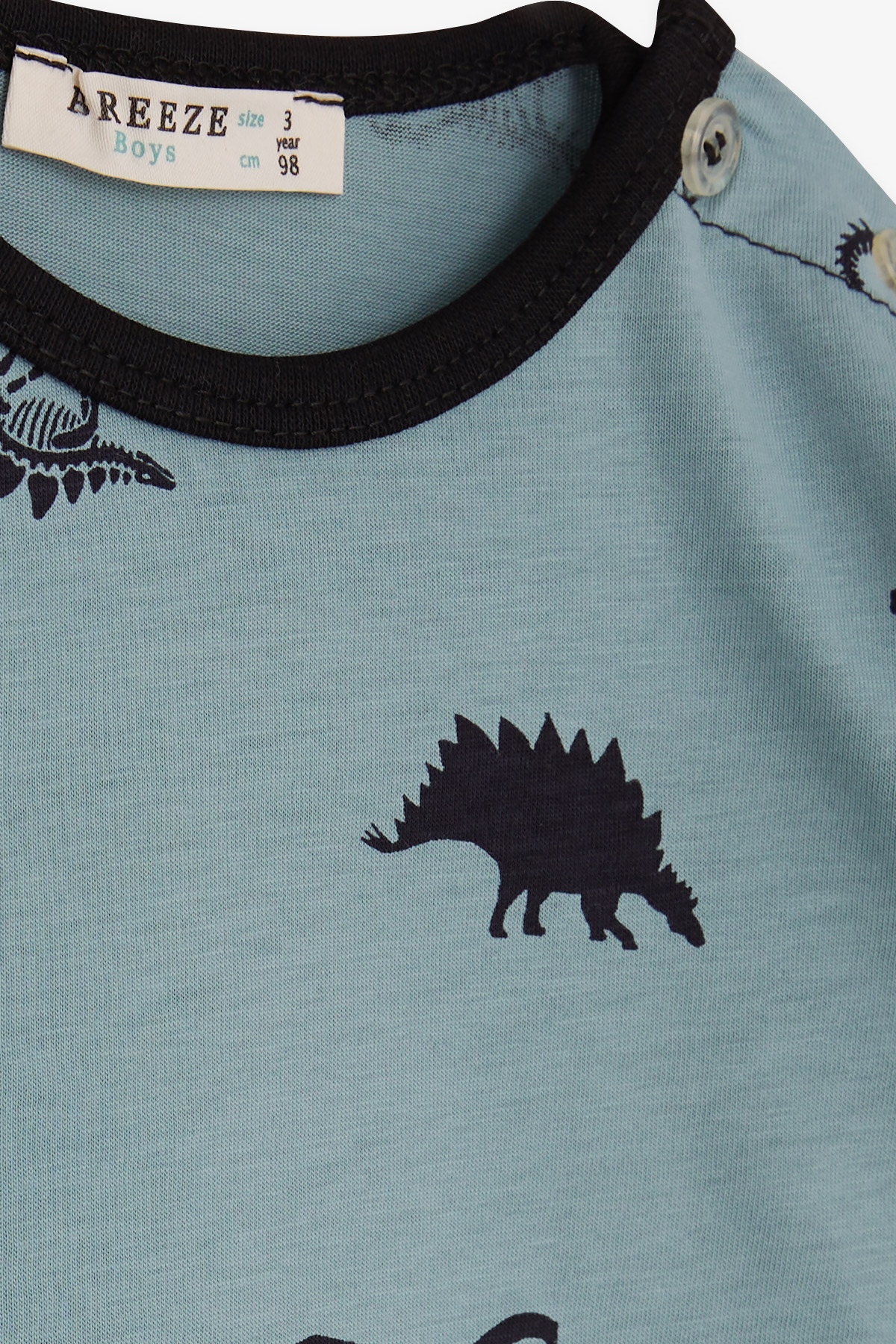 Breeze Erkek Bebek Pijama Takımı Dinozorlar Alemi Mint Yeşili (9 Ay-3 Yaş)