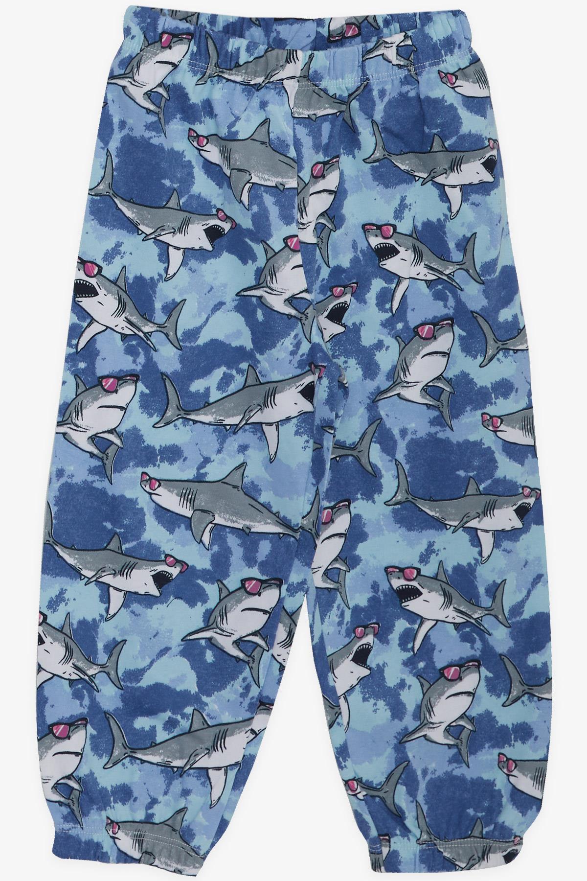 Breeze Erkek Bebek Pijama Takımı Gözlüklü Köpekbalığı Desenli Karışık Renk (9 Ay-3 Yaş)