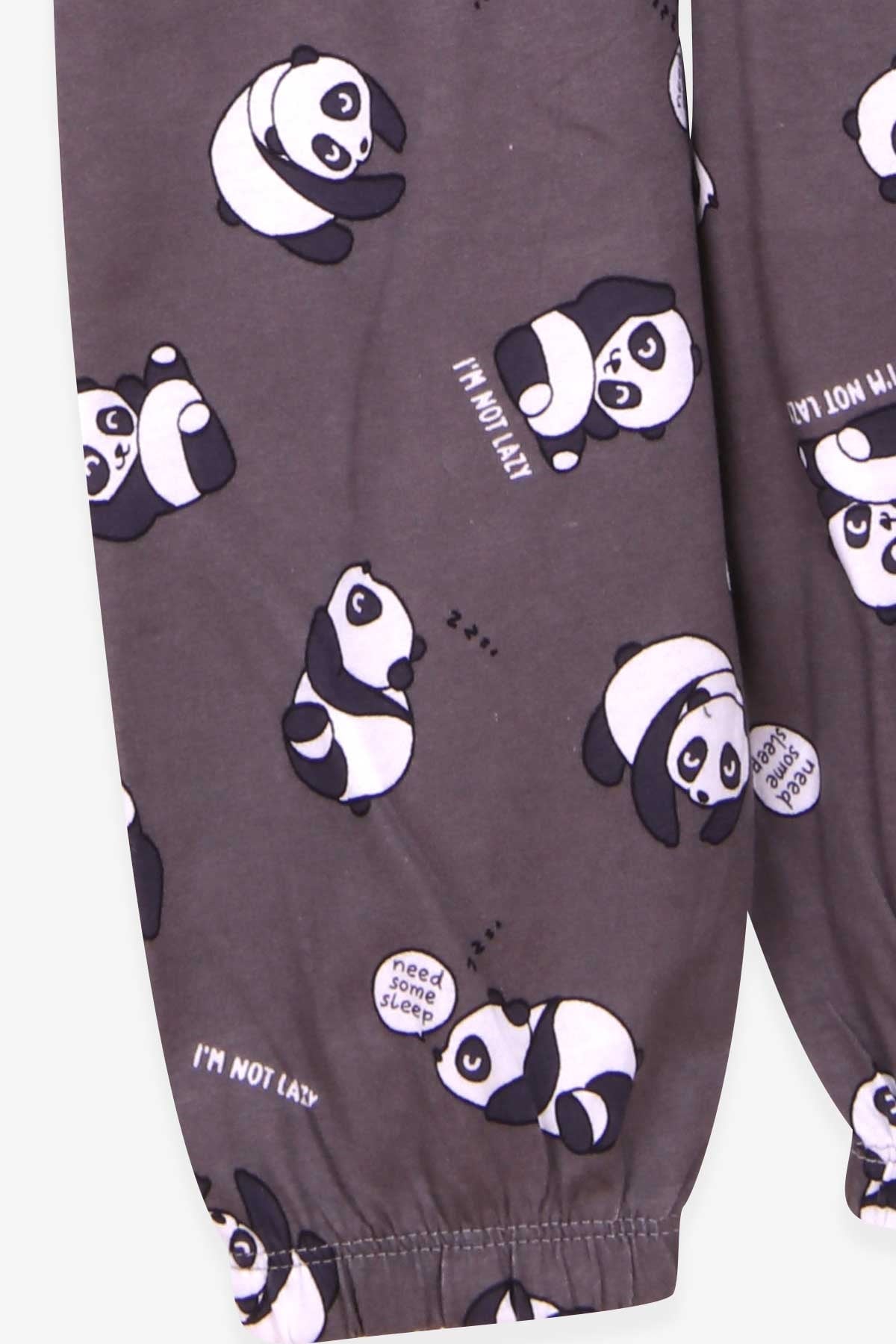Breeze Erkek Bebek Pijama Takımı Panda Desenli Füme (9 Ay-3 Yaş)