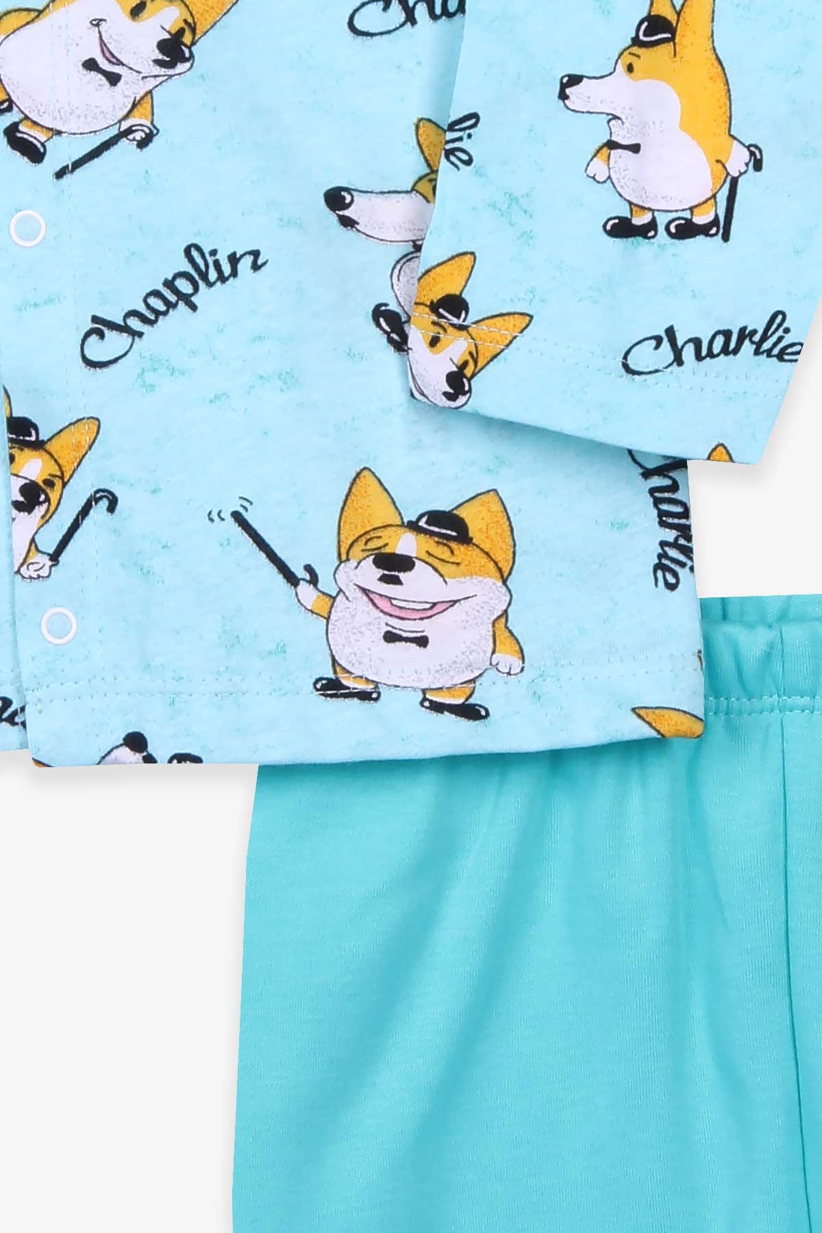 Breeze Erkek Bebek Pijama Takımı Tilki Desenli Su Yeşili (4 Ay-1 Yaş)