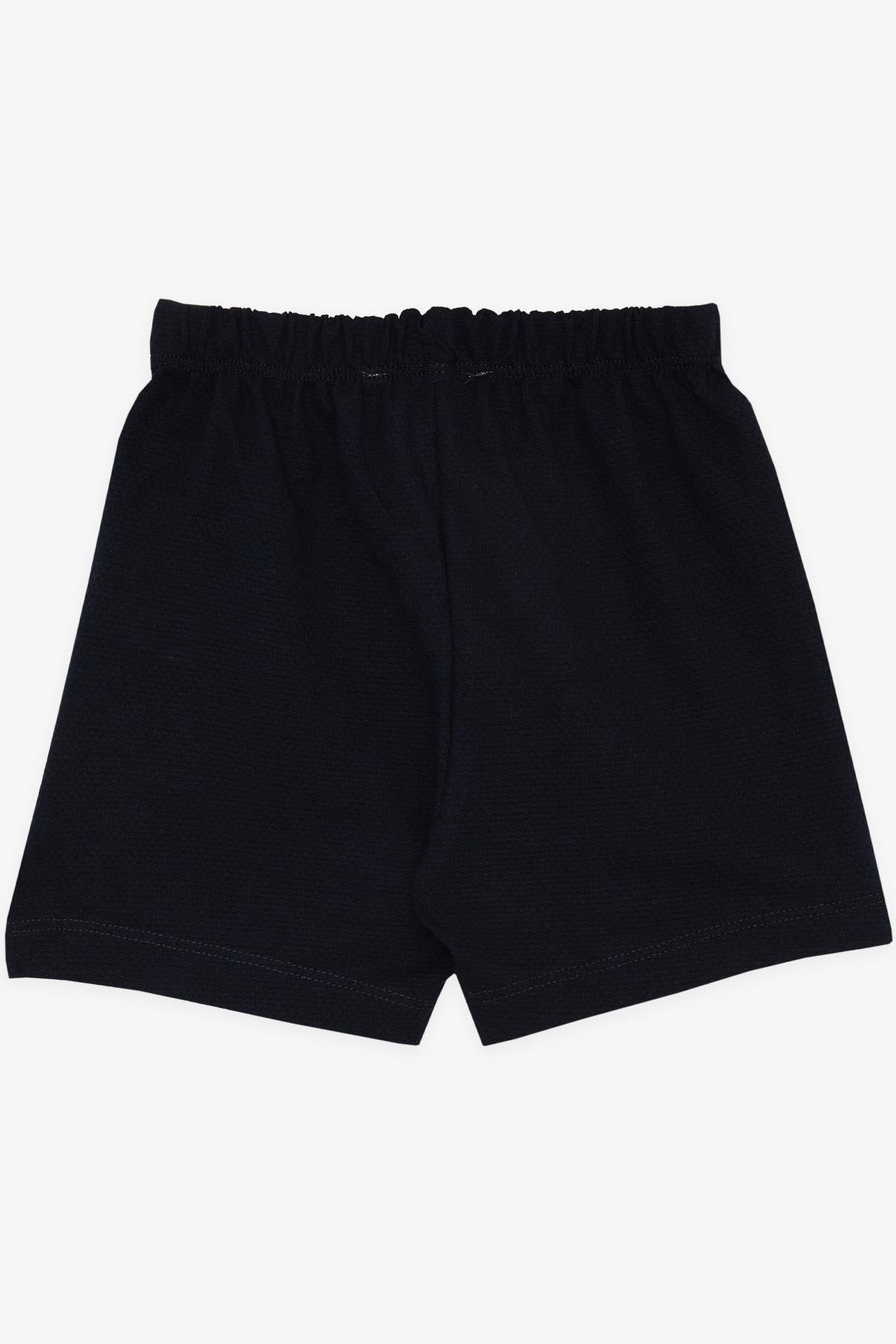 Breeze Erkek Bebek Şort Beli Lastikli Bağcık Aksesuarlı Basic Lacivert (9 Ay-3 Yaş)