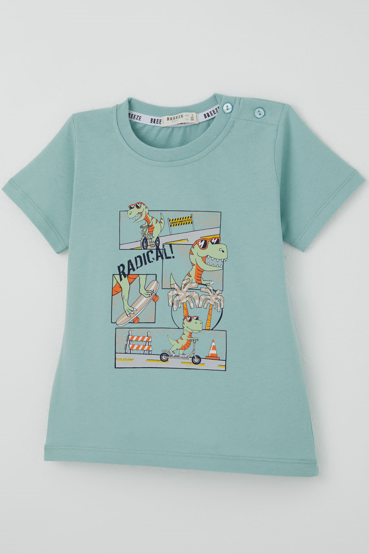 Breeze Erkek Bebek Şortlu Takım Kaykaycı Eğlenceli Dinozor Baskılı Su Yeşili (9 Ay-3 Yaş)