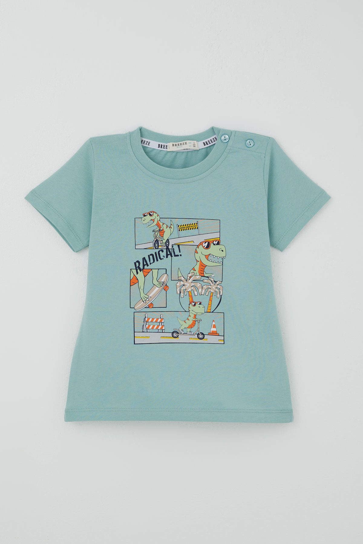 Breeze Erkek Bebek Şortlu Takım Kaykaycı Eğlenceli Dinozor Baskılı Su Yeşili (9 Ay-3 Yaş)