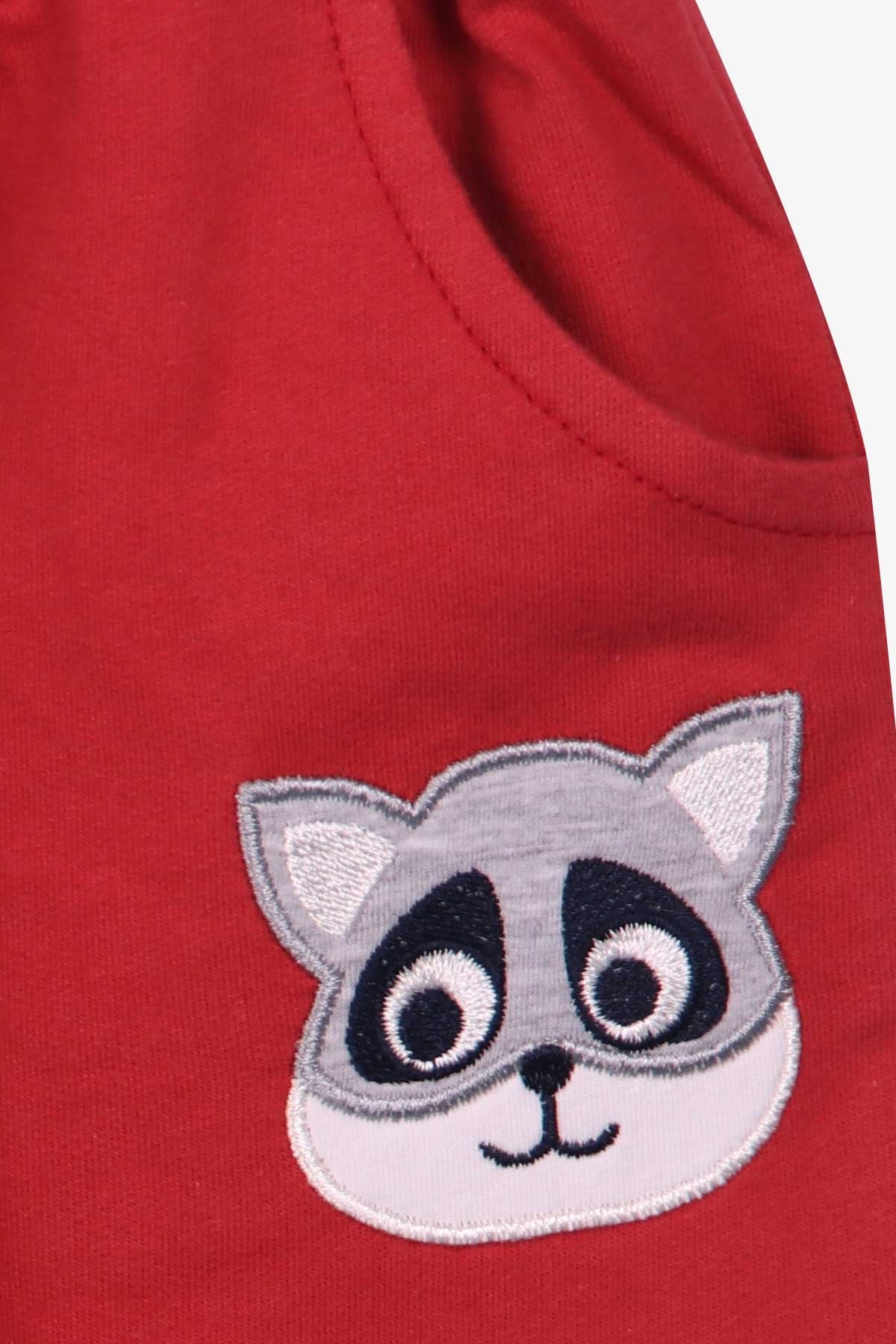 Breeze Erkek Bebek Şortlu Takım Rakun Nakışlı Beyaz (9 Ay-3 Yaş)