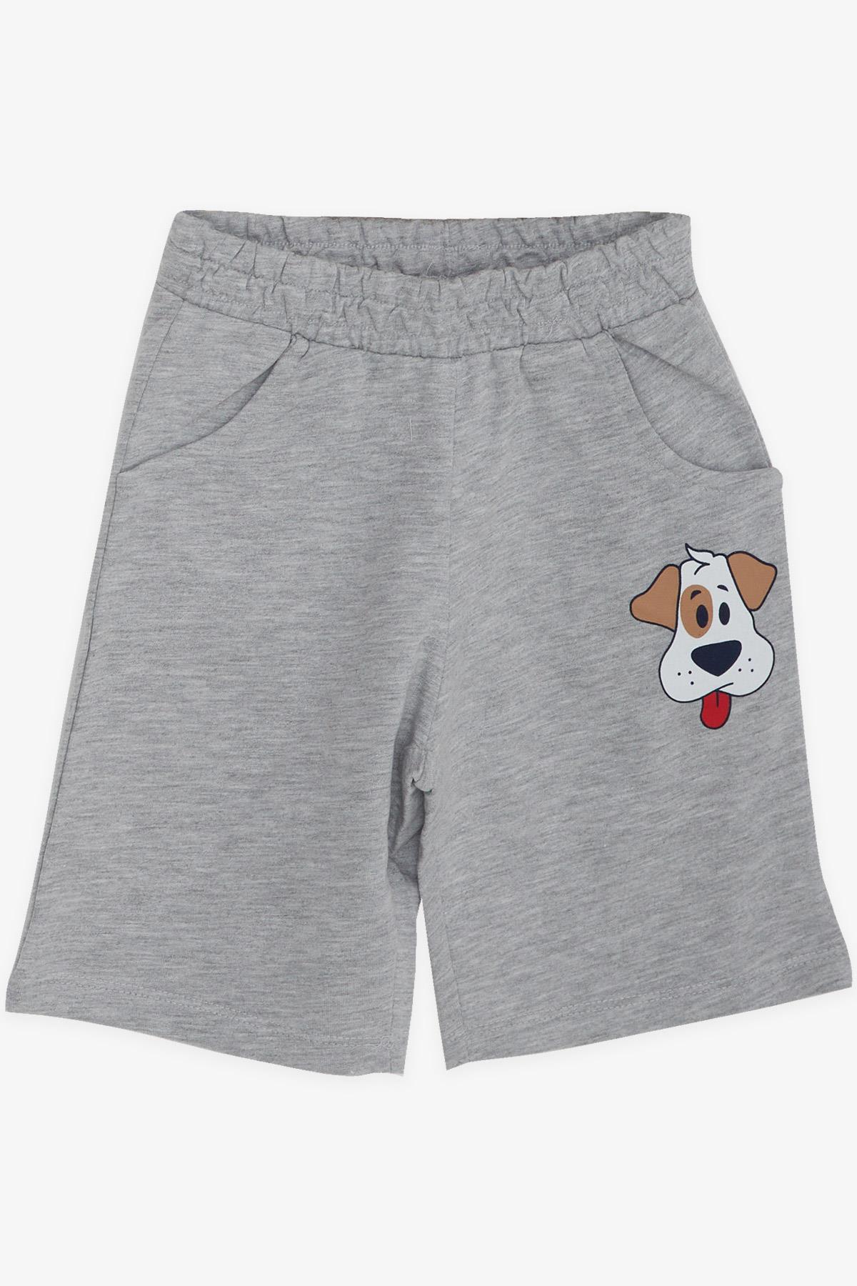 Breeze Erkek Bebek Şortlu Takım Sevimli Köpekçik Sarı (1-4 Yaş)