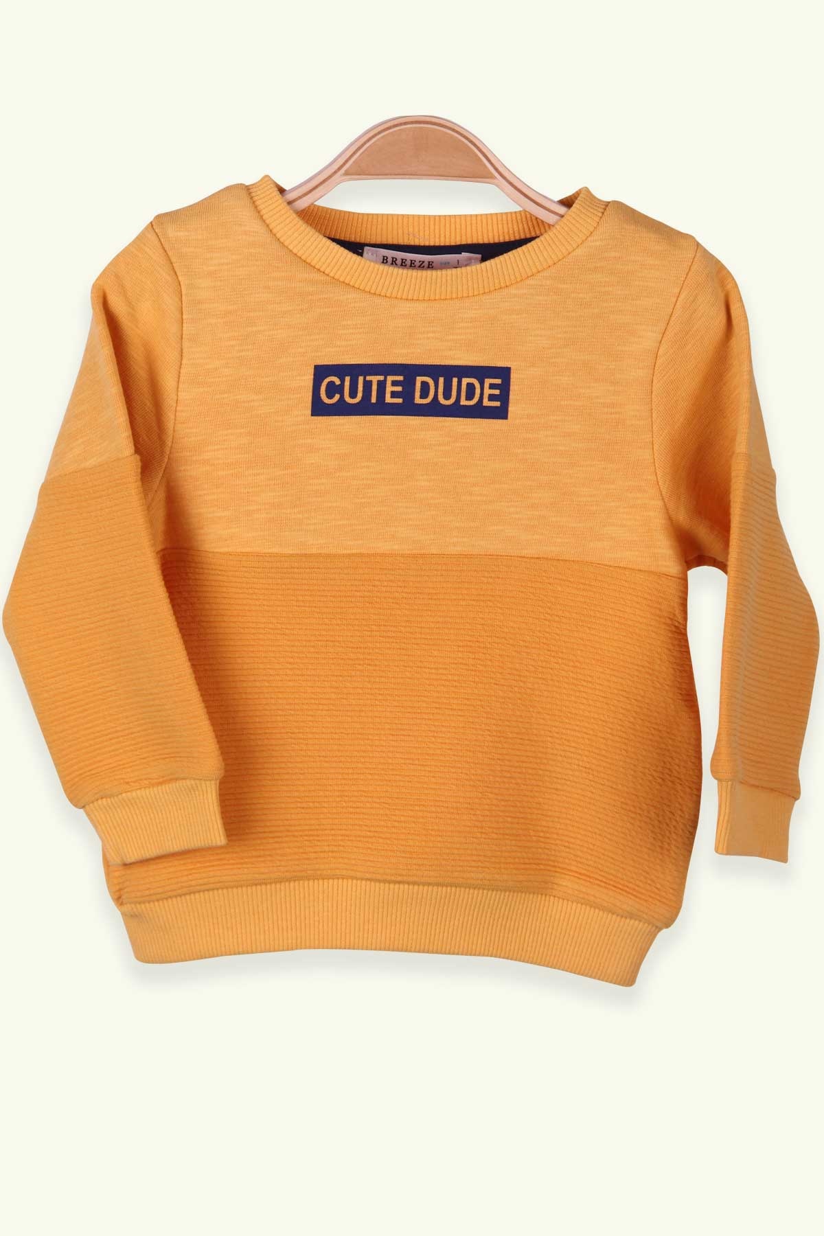 Breeze Erkek Bebek Sweatshirt Baskılı Hardal Sarı (6 Ay-3 Yaş)