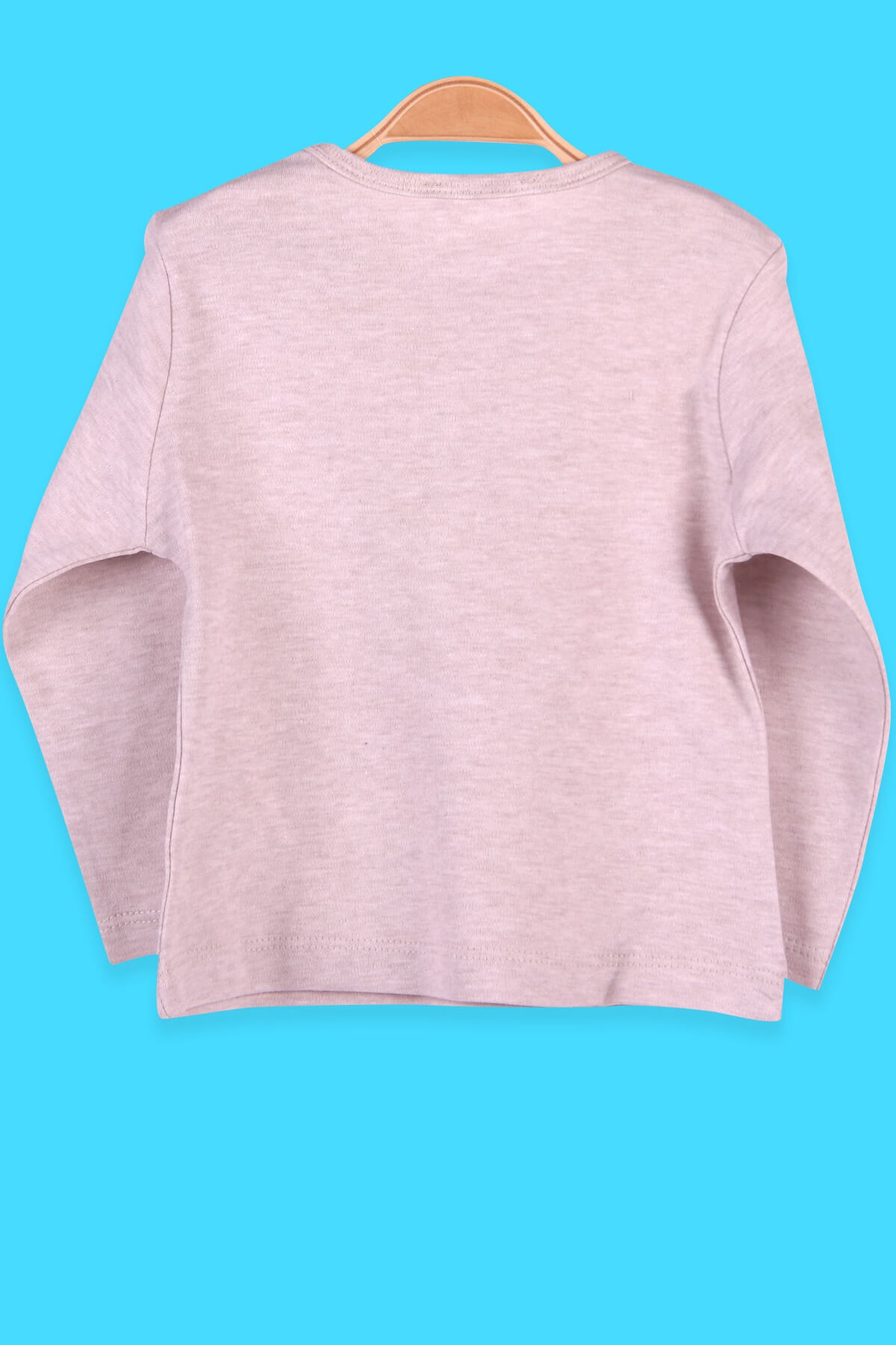 Breeze Erkek Bebek Uzun Kollu Tişört Baskılı Taş (1.5-5 Yaş)