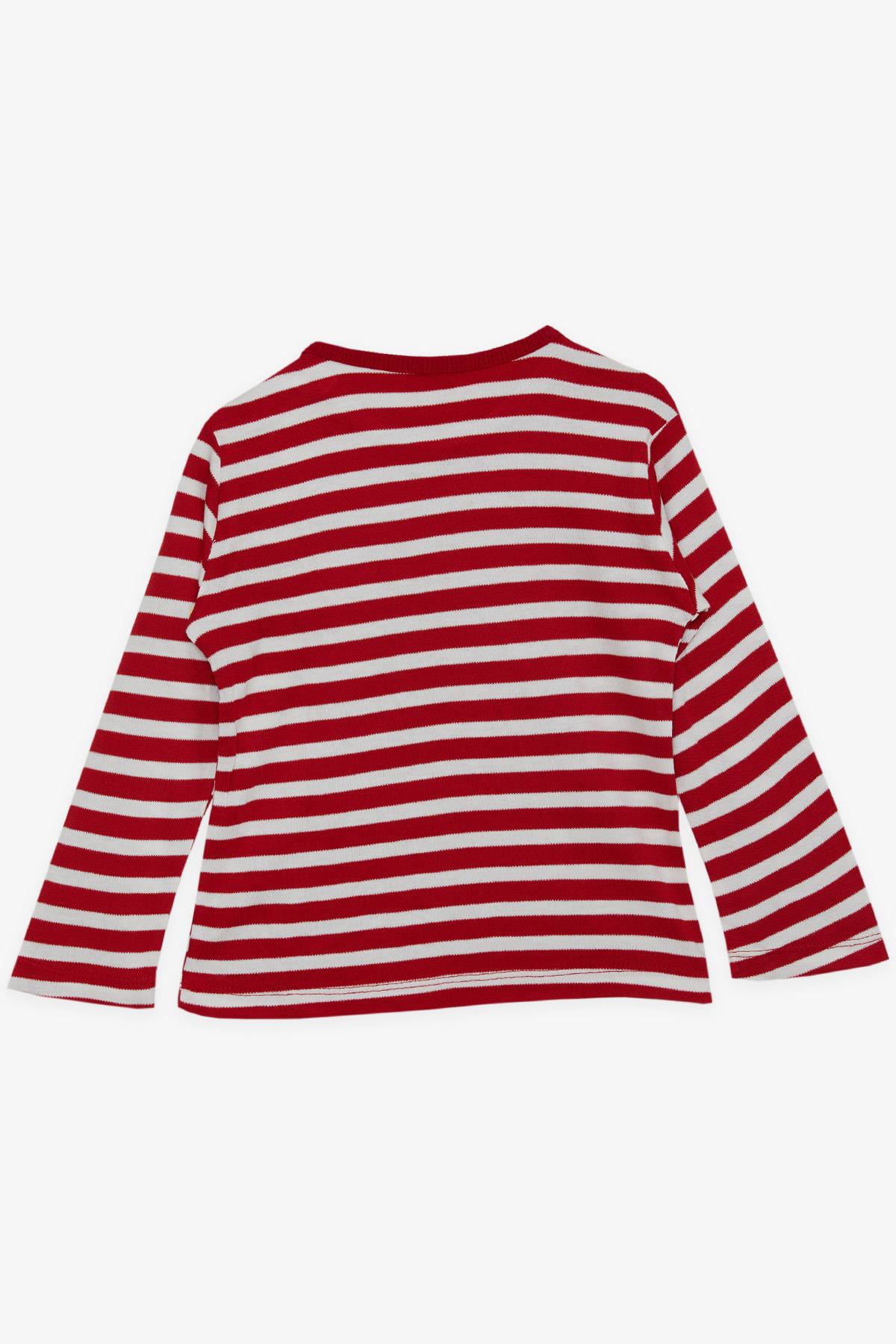 Breeze Erkek Bebek Uzun Kollu Tişört Çizgili Patlı Rakam Baskılı Kırmızı Kırmızı (9 Ay-3 Yaş)