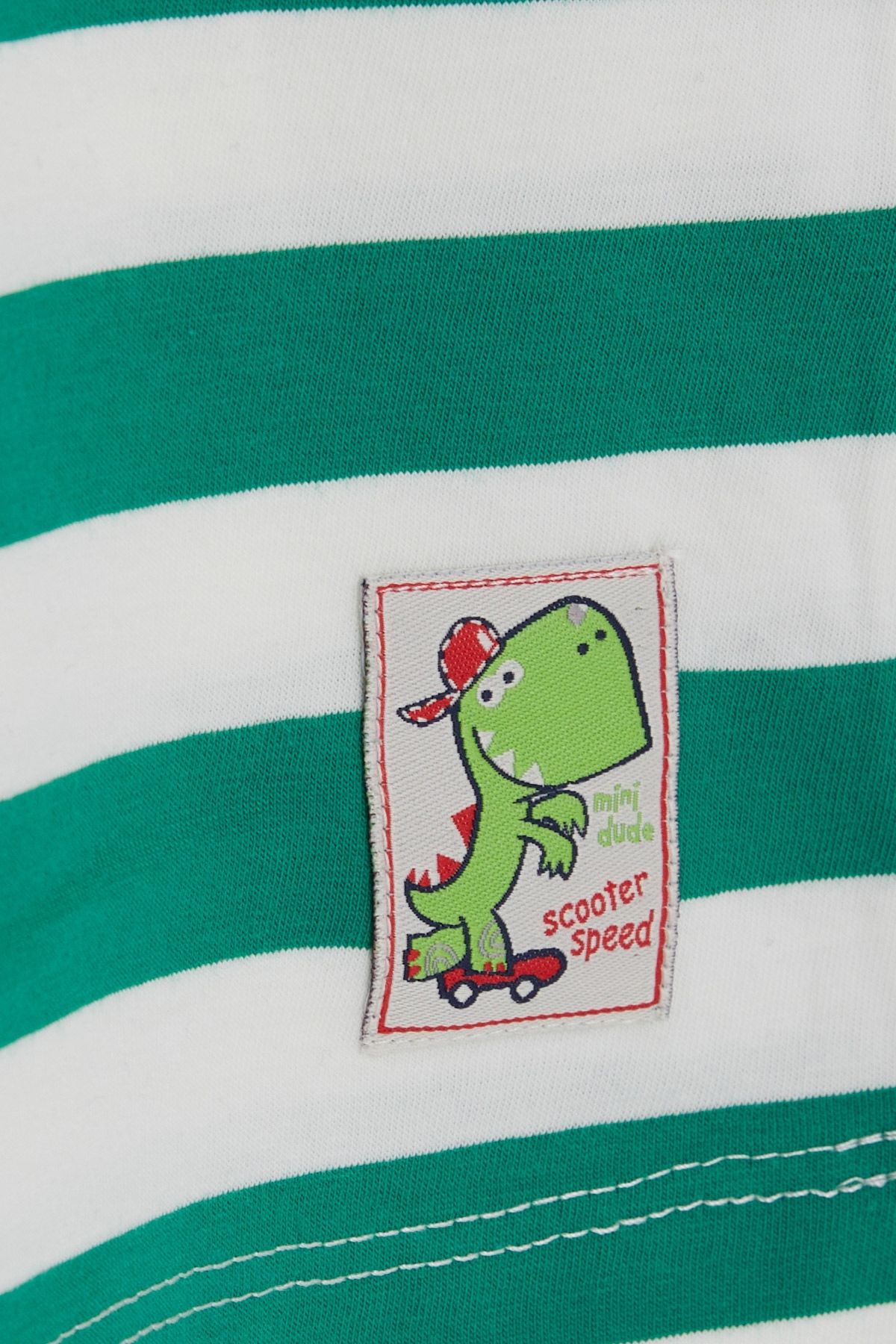 Breeze Erkek Bebek Uzun Kollu Tişört Çizgili Dinozor Baskılı Yeşil (9 Ay-3 Yaş)