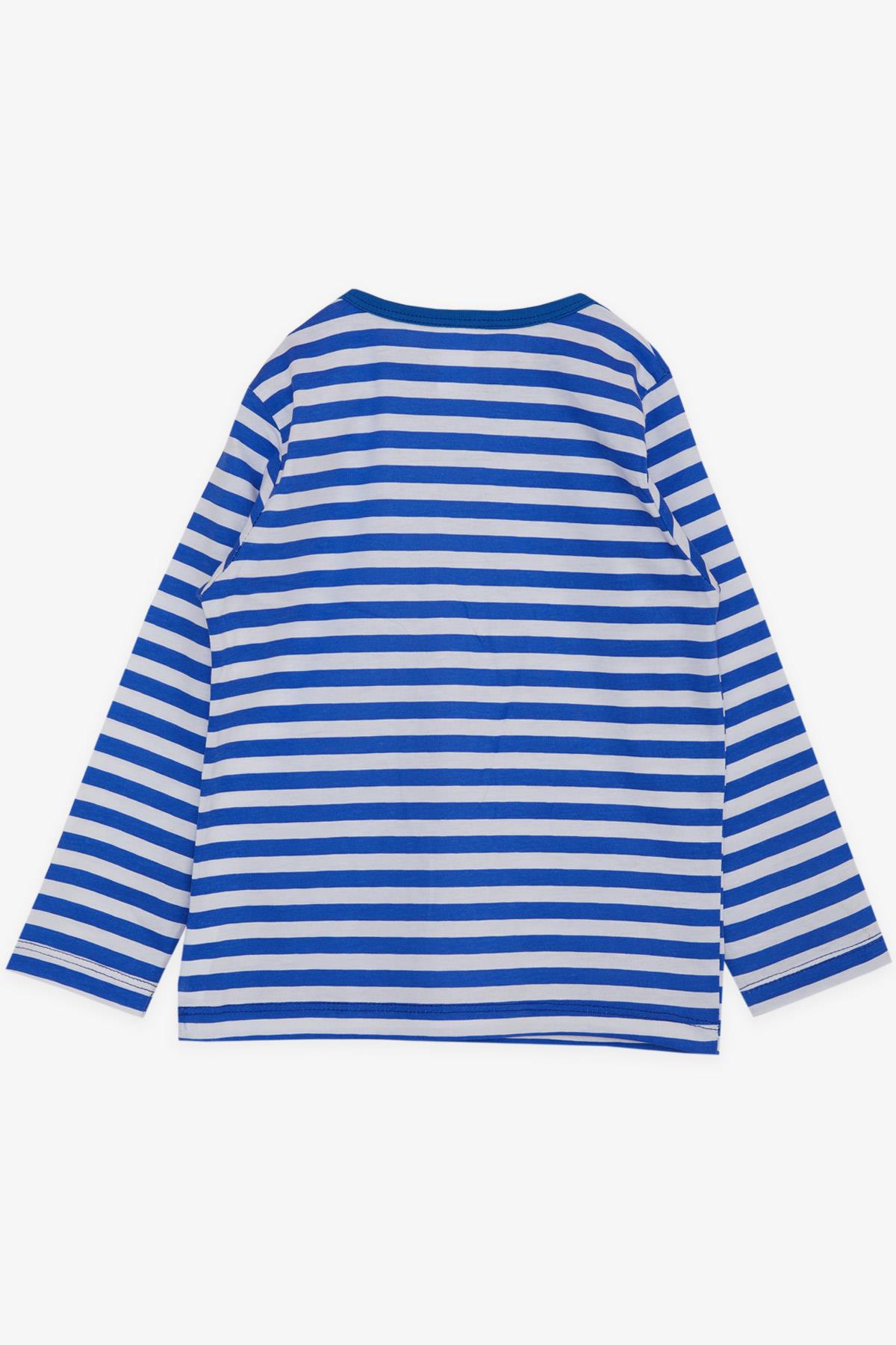 Breeze Erkek Bebek Uzun Kollu Tişört Çizgili Patlı Dinazor Baskılı Saks Mavisi (9 Ay-3 Yaş)