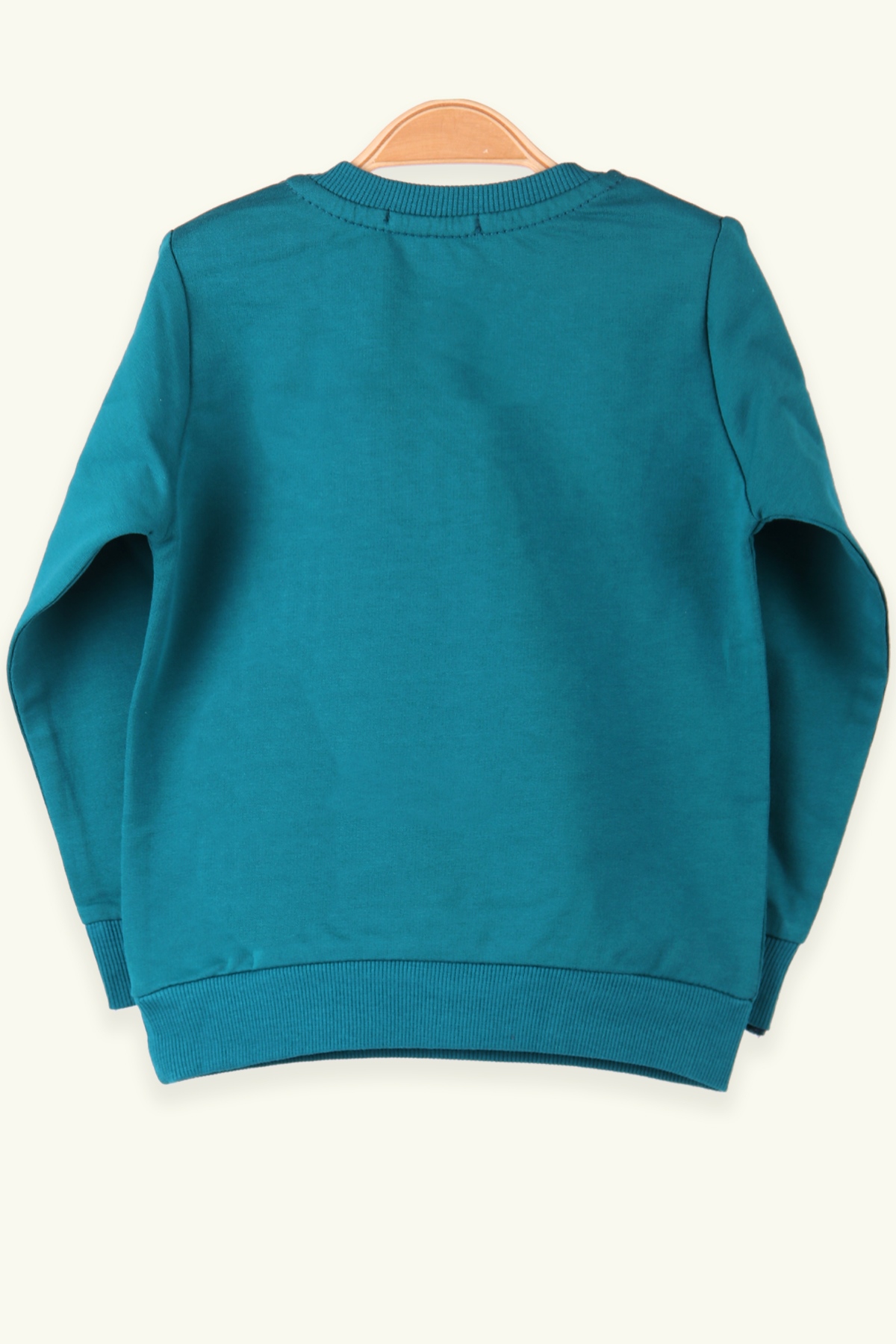Breeze Erkek Çocuk Baskılı Sweatshirt Yeşil (1.5-5 Yaş)