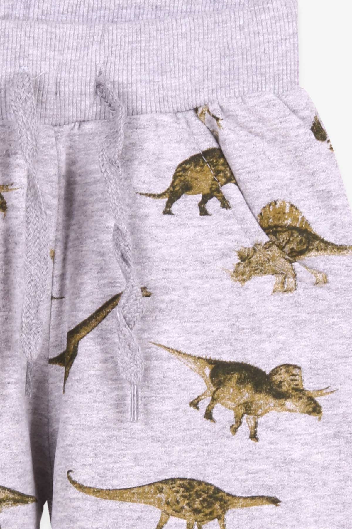 Breeze Erkek Çocuk Eşofman Altı Dinozor Desenli Gri Melanj (2-6 Yaş)