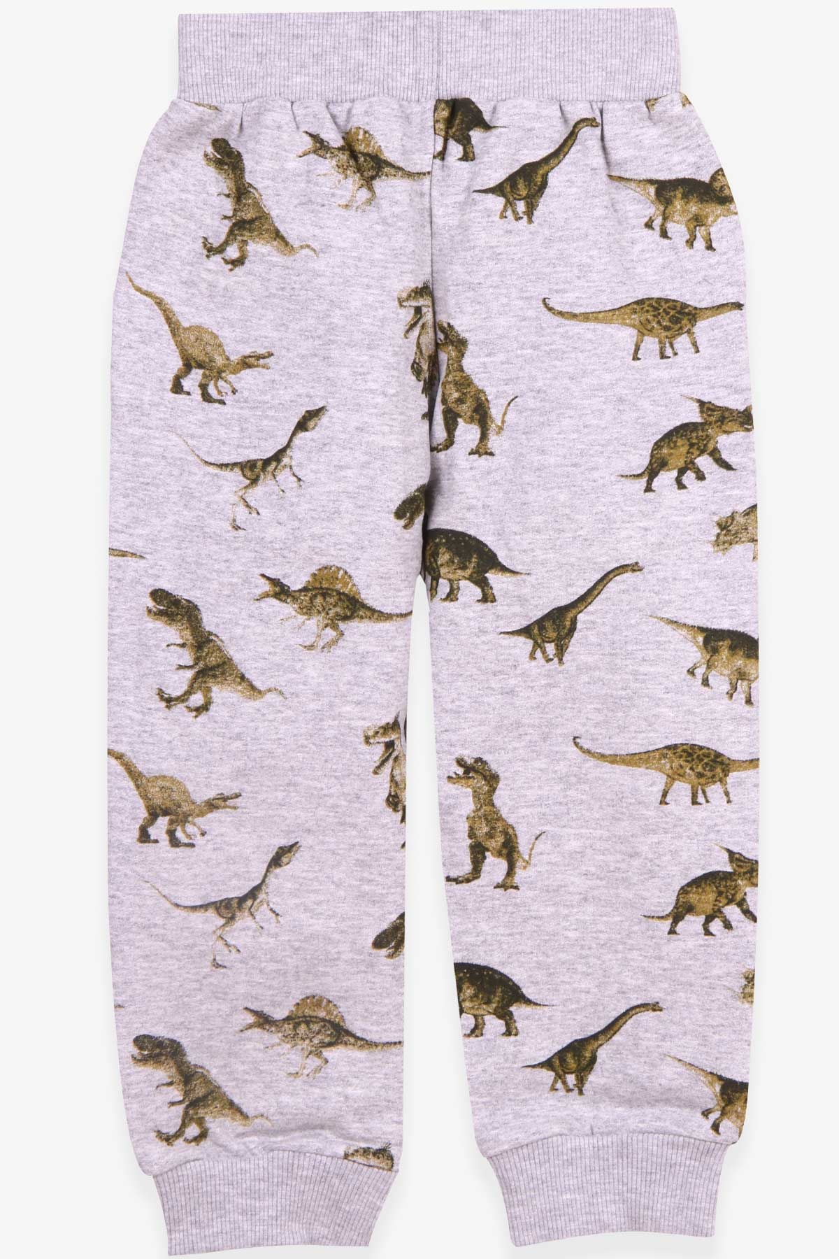Breeze Erkek Çocuk Eşofman Altı Dinozor Desenli Gri Melanj (2-6 Yaş)