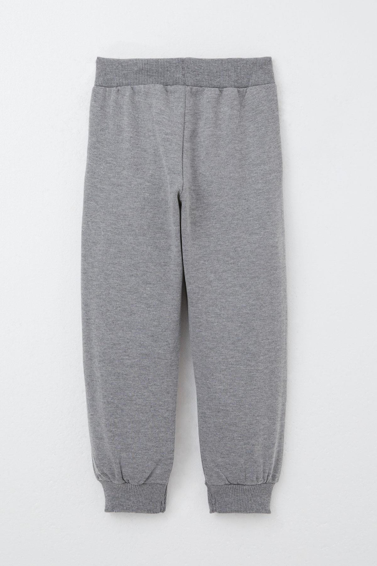 Breeze Erkek Çocuk Eşofman Takım Sevimli Fil Desenli Mint Yeşili (1-4 Yaş)