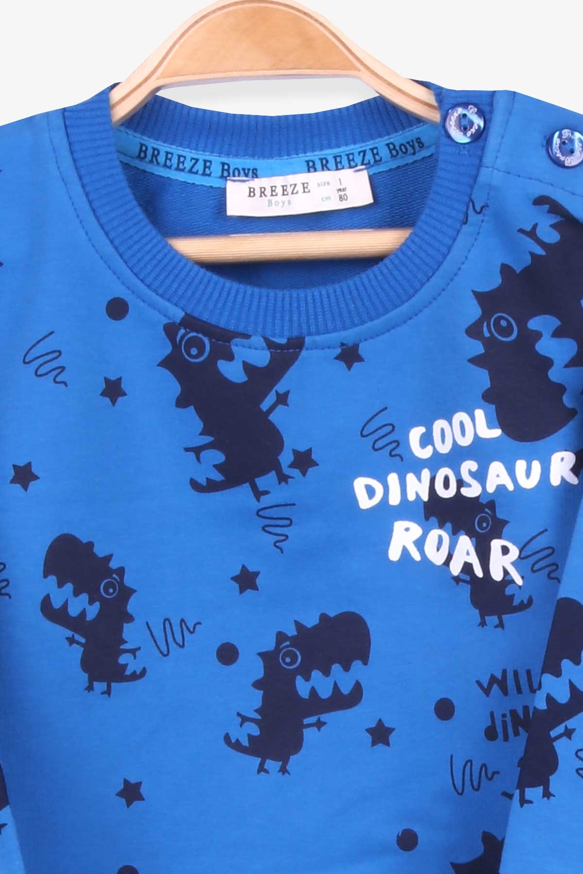 Breeze Erkek Çocuk Eşofman Takımı Dinozor Baskılı Saks Mavisi (1-4 Yaş)