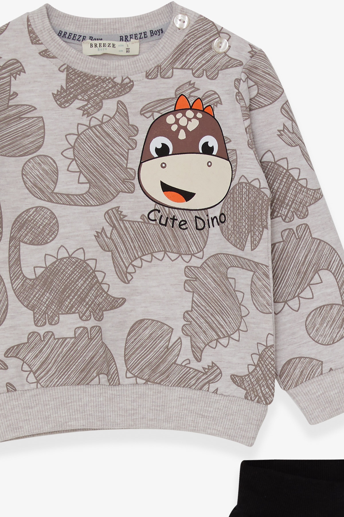 Breeze Erkek Çocuk Eşofman Takımı Dinozor Baskılı Bej Melanj (1-4 Yaş)