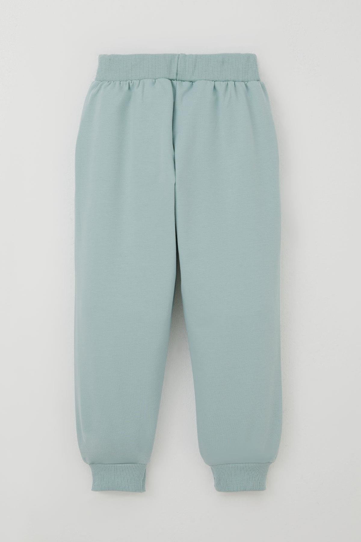 Breeze Erkek Çocuk Eşofman Takımı Sevimli Kaplan Nakışlı Su Yeşili (1-4 Yaş)