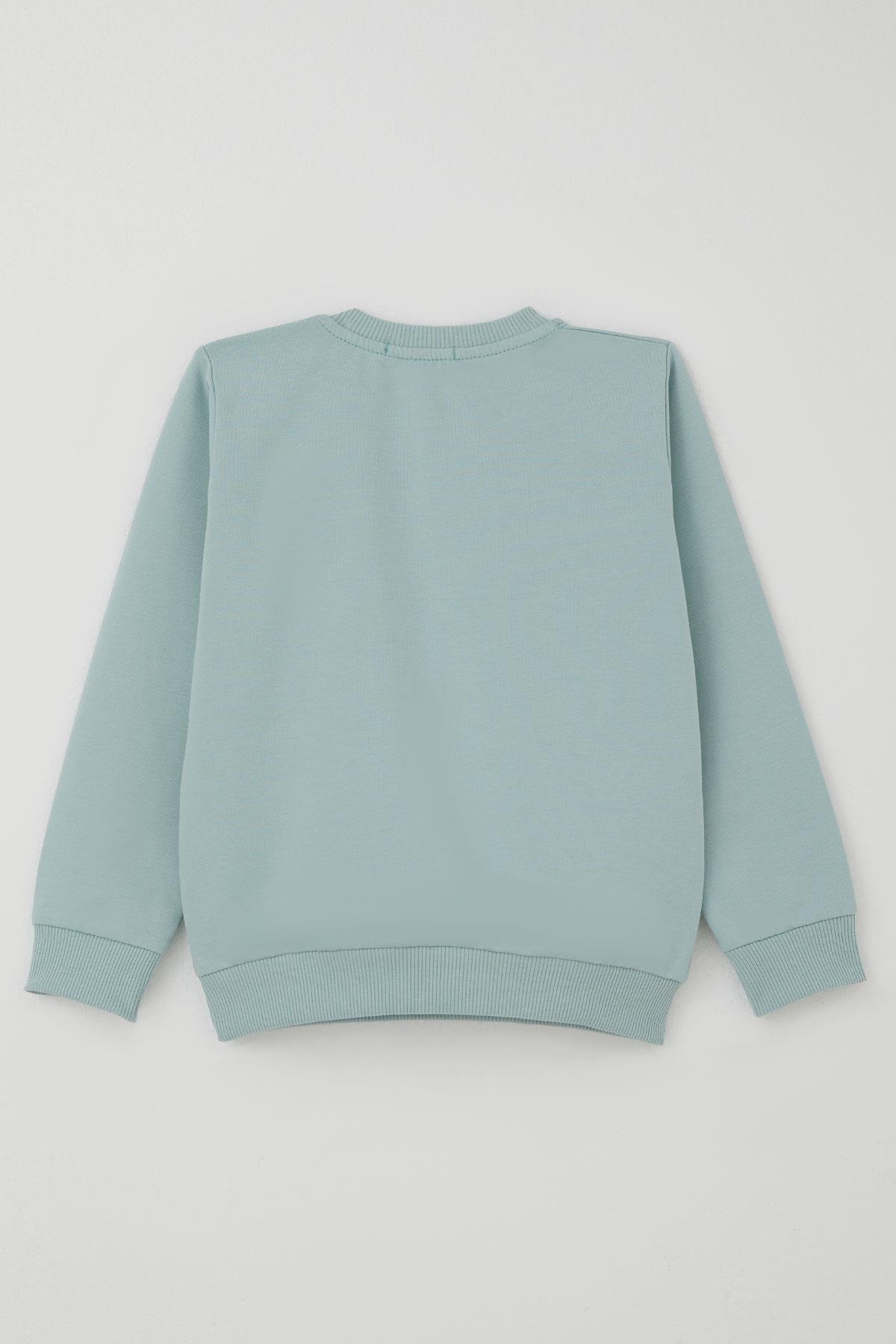 Breeze Erkek Çocuk Eşofman Takımı Sevimli Kaplan Nakışlı Su Yeşili (1-4 Yaş)