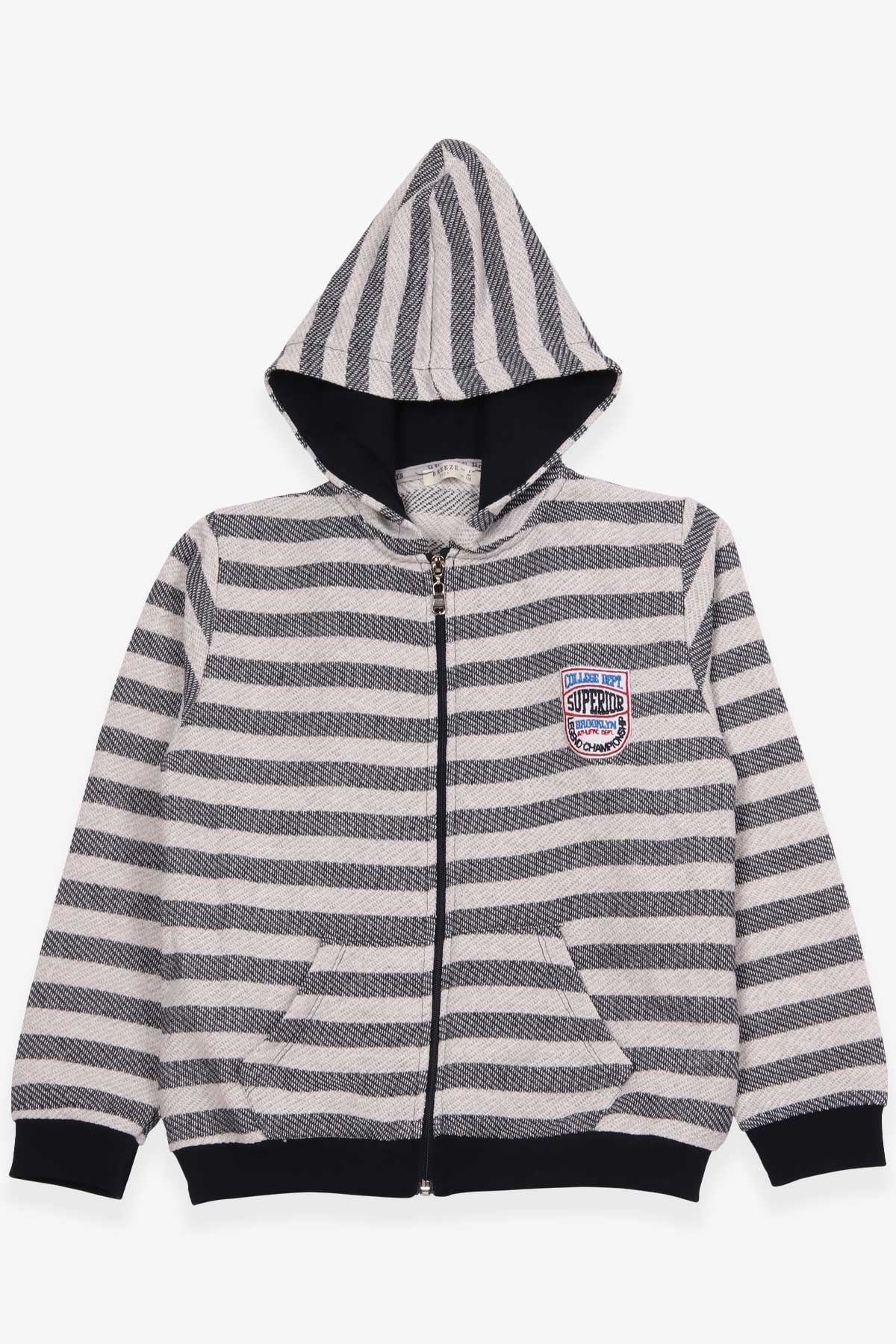 Breeze Erkek Çocuk Hırka Nakışlı Çizgili Desenli Gri (7-12 Yaş)