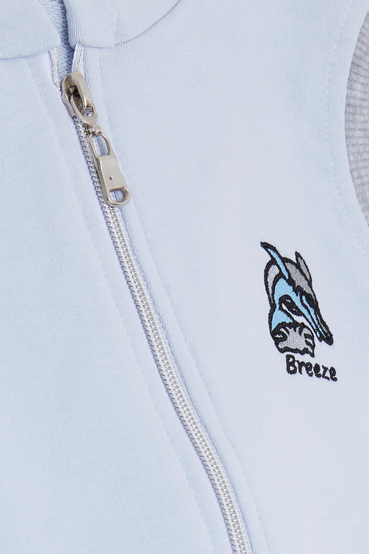 Breeze Erkek Çocuk Kapüşonlu Yelek Fermuarlı Yunus Balığı Nakışlı Buz Mavisi (3-8 Yaş)
