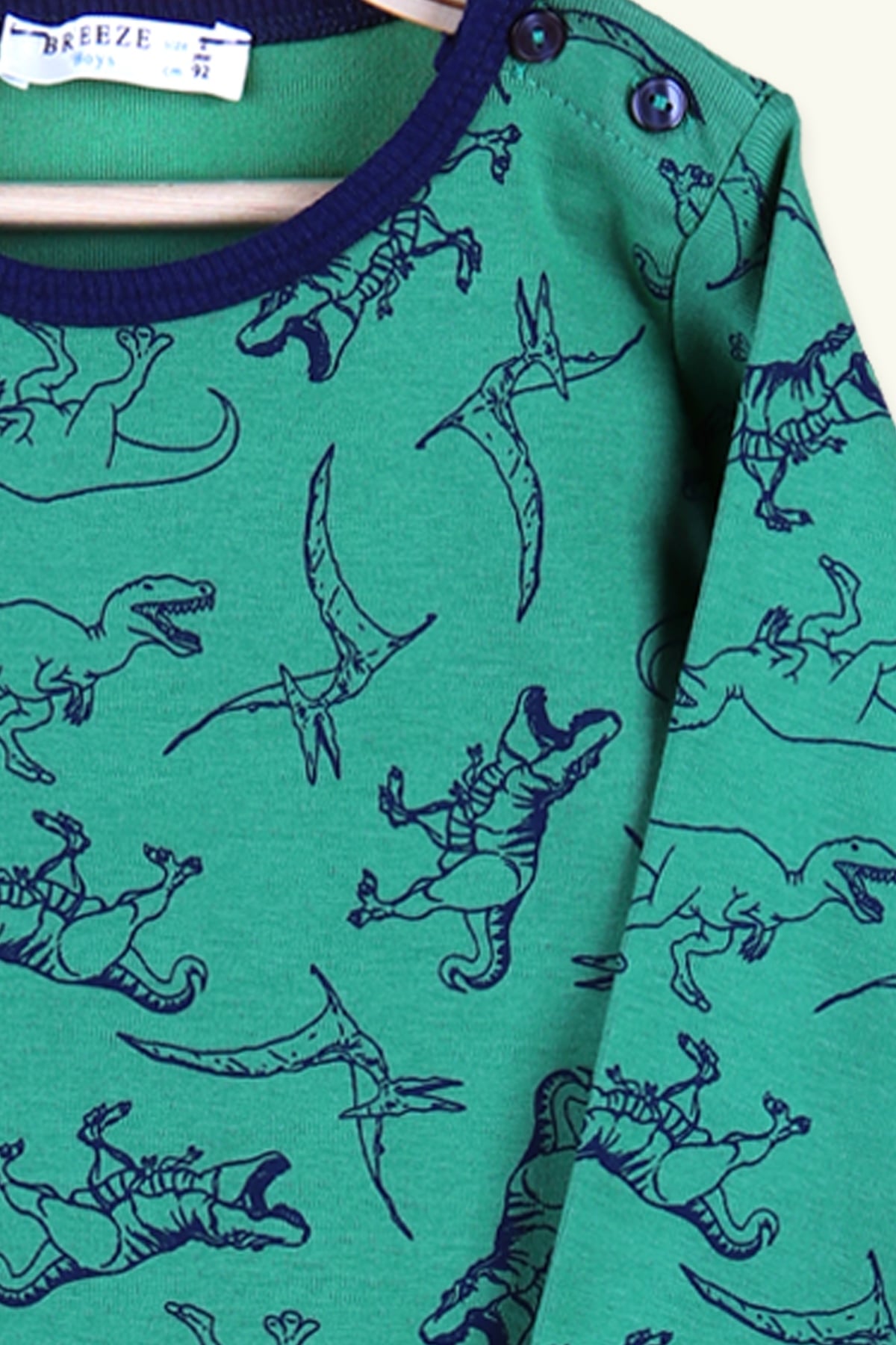 Breeze Erkek Çocuk Pijama Takımı Dinozor Desenli Yeşil (2-6 Yaş)