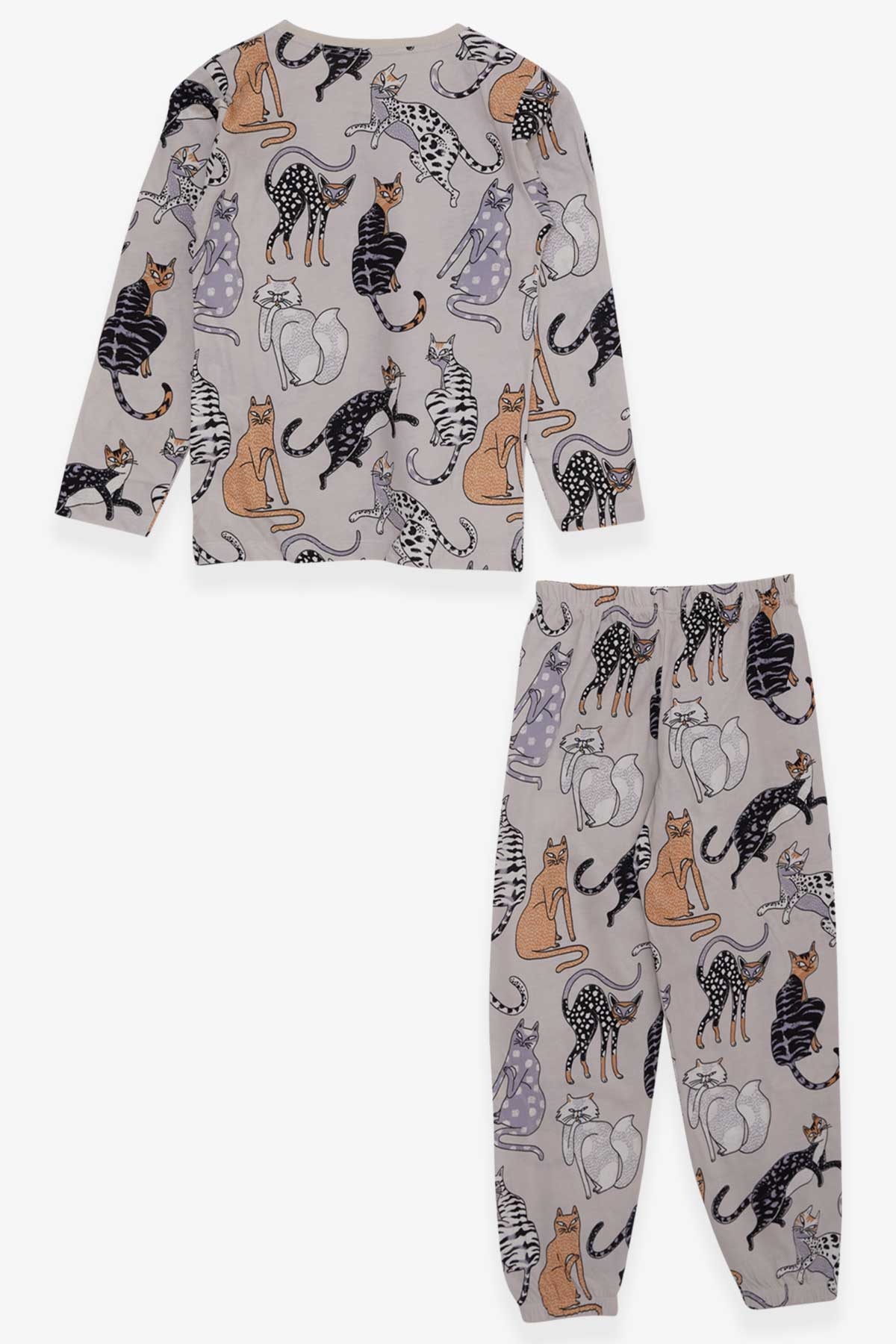 Breeze Erkek Çocuk Pijama Takımı Kedi Desenli Taş (4-8 Yaş)