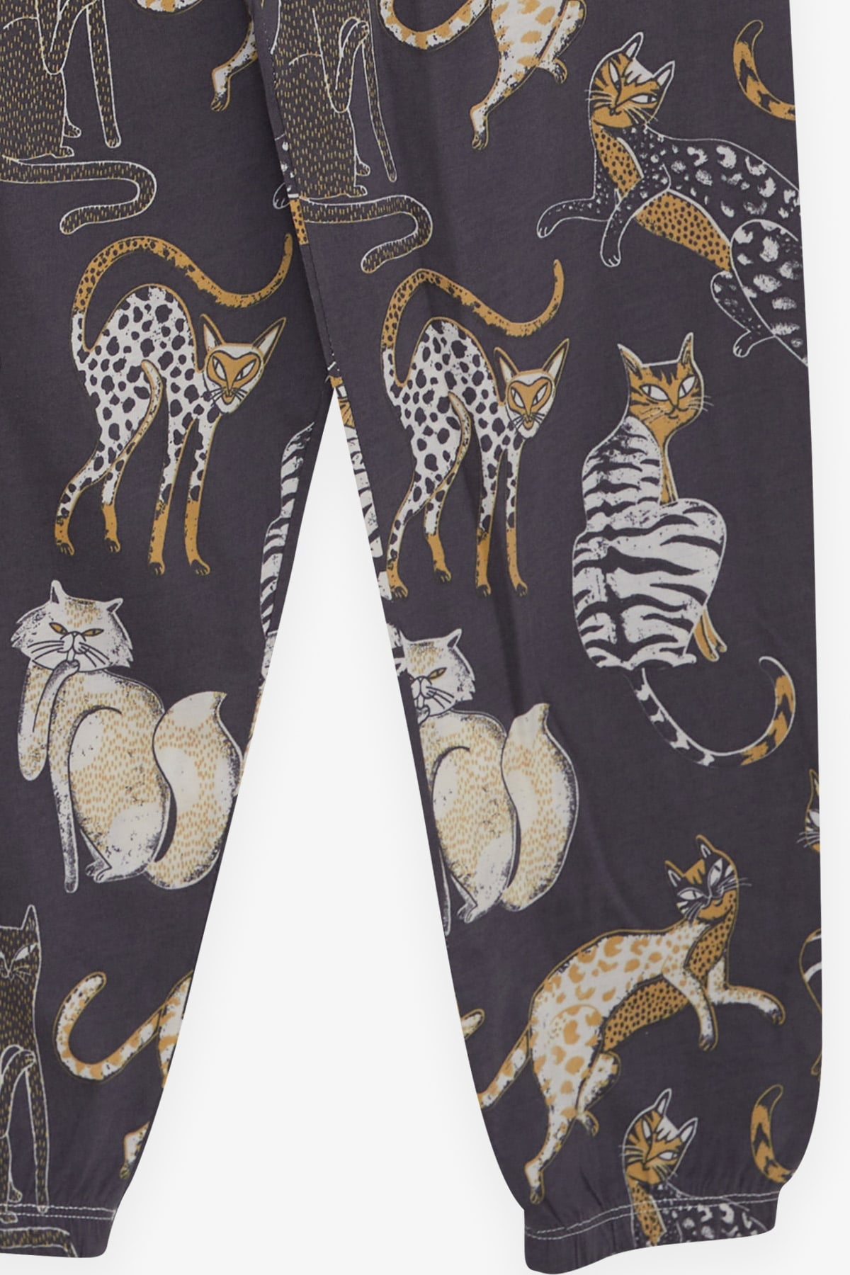 Breeze Erkek Çocuk Pijama Takımı Kedi Desenli Füme (4-8 Yaş)