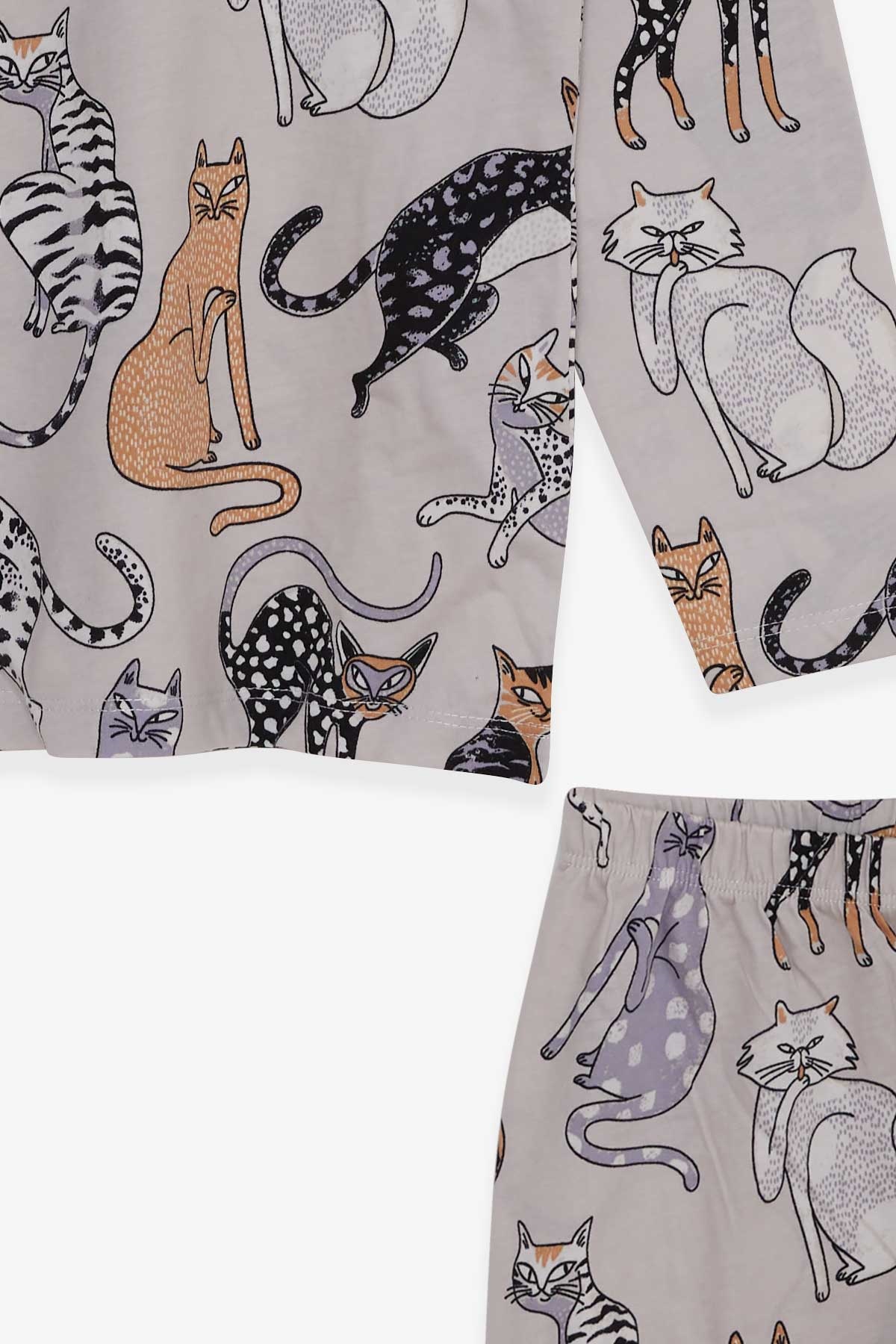 Breeze Erkek Çocuk Pijama Takımı Kedi Desenli Taş (4-8 Yaş)