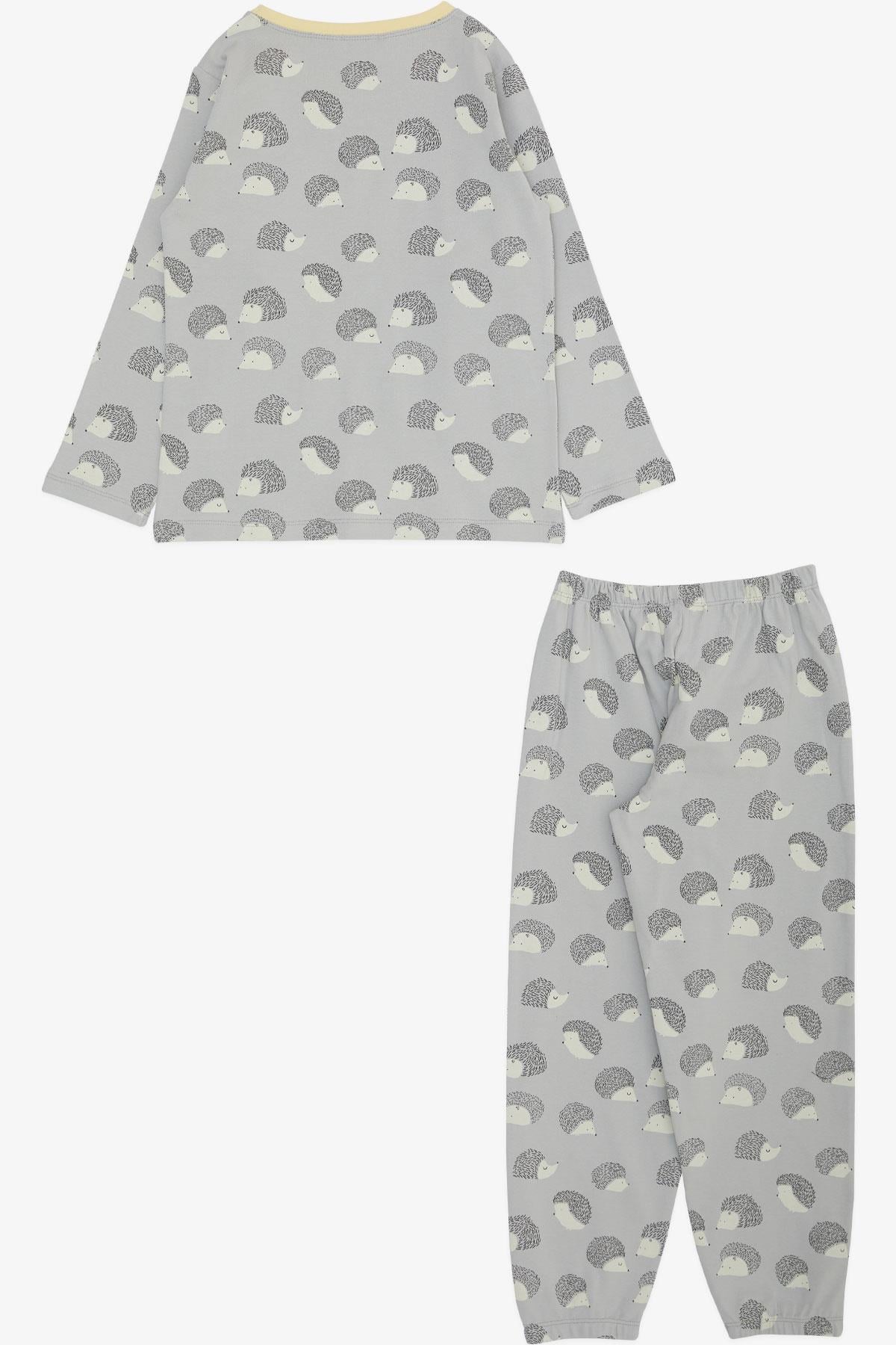 Breeze Erkek Çocuk Pijama Takımı Kirpi Desenli Gri (4-8 Yaş)