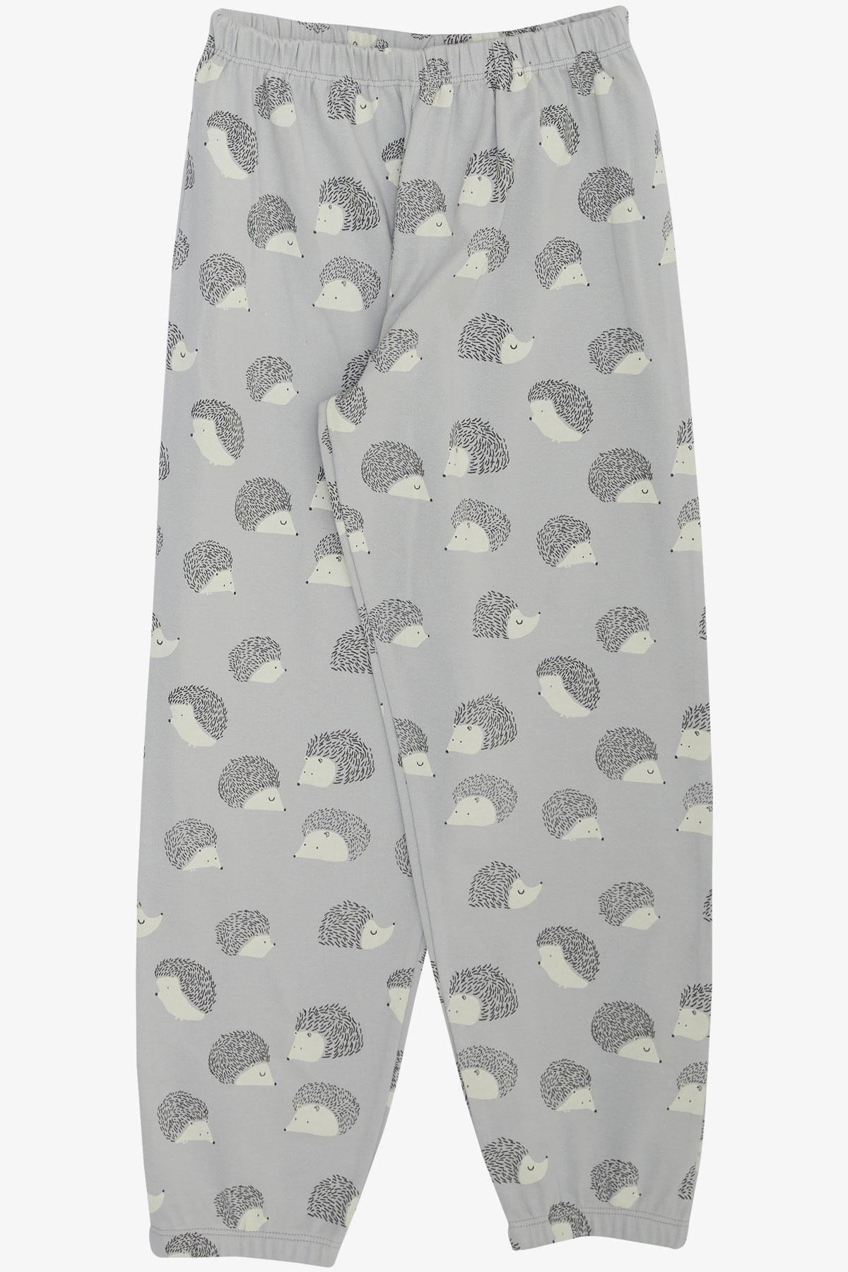 Breeze Erkek Çocuk Pijama Takımı Kirpi Desenli Gri (4-8 Yaş)