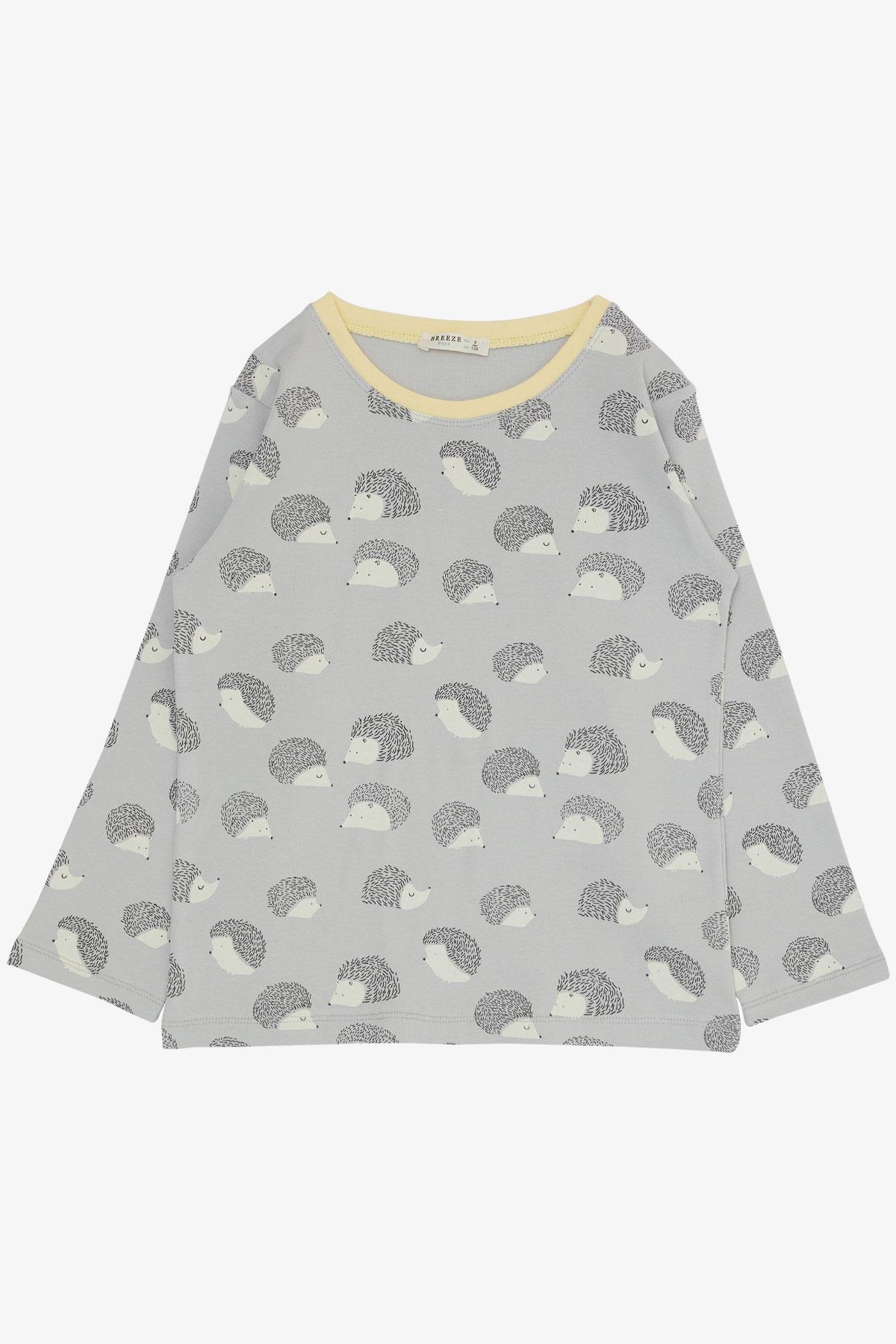 Breeze Erkek Çocuk Pijama Takımı Kirpi Desenli Gri (4-8 Yaş)