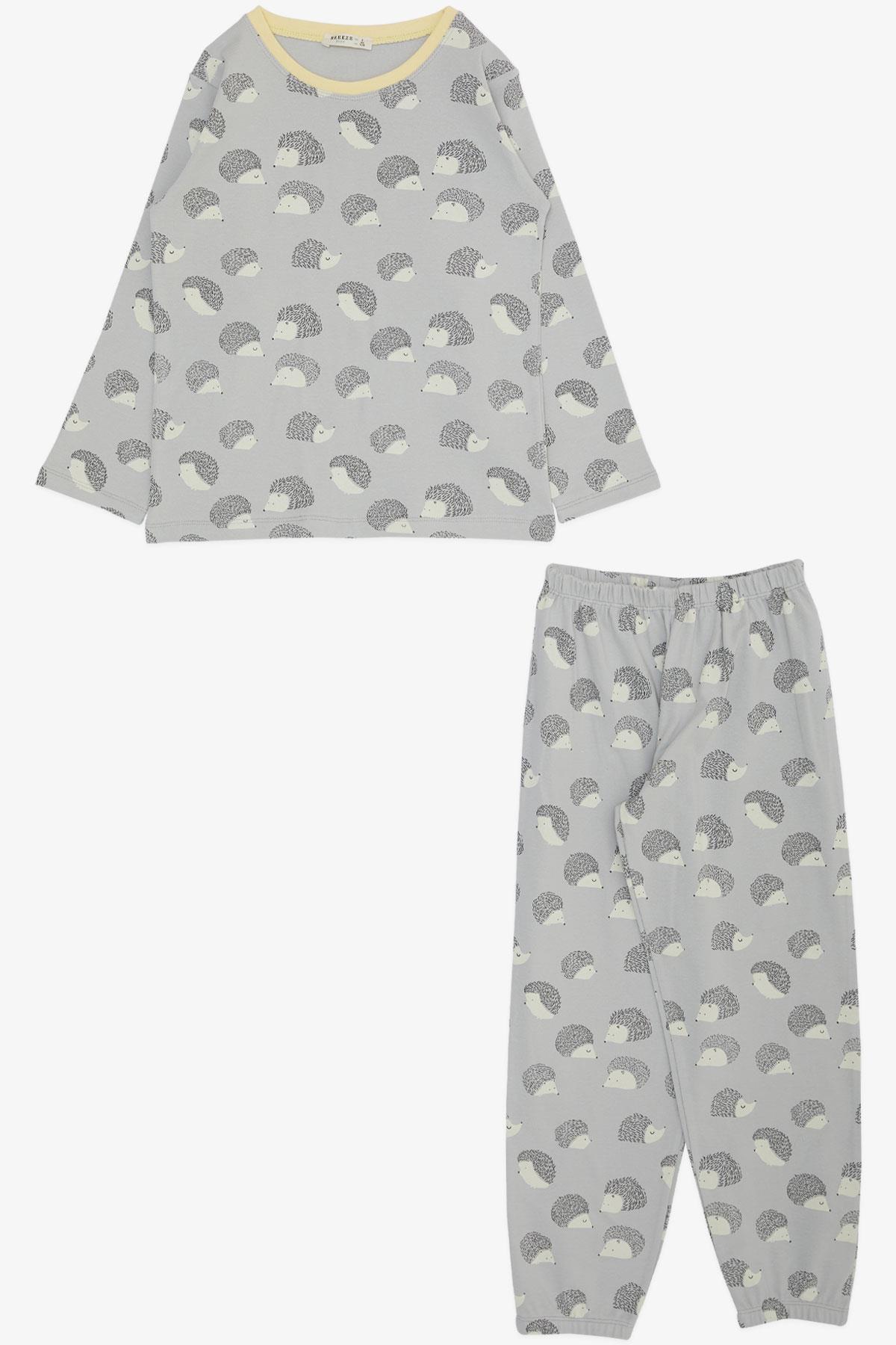 Breeze Erkek Çocuk Pijama Takımı Kirpi Desenli Gri (4-8 Yaş)